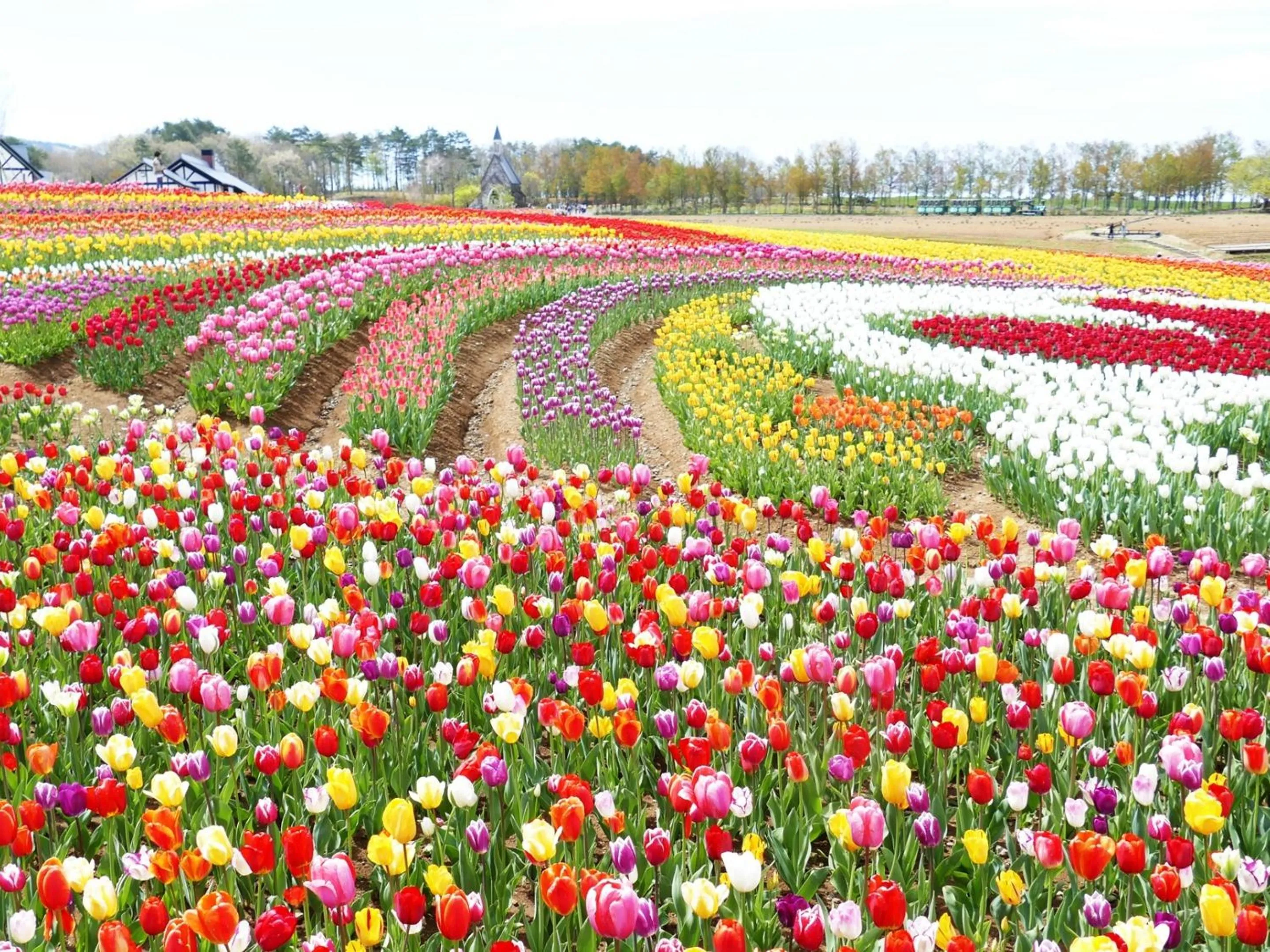 Nearby landmark in Hotel Hana