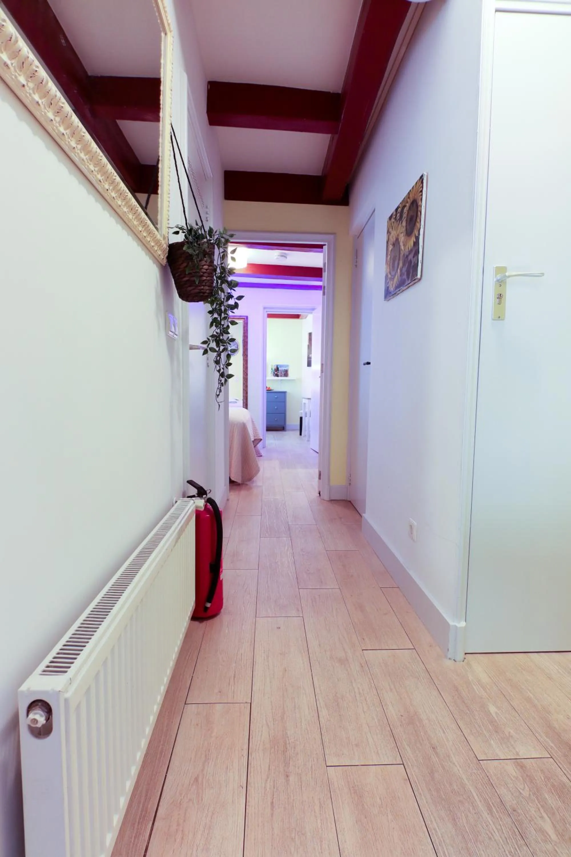 Property building in Sunflower Amsterdam