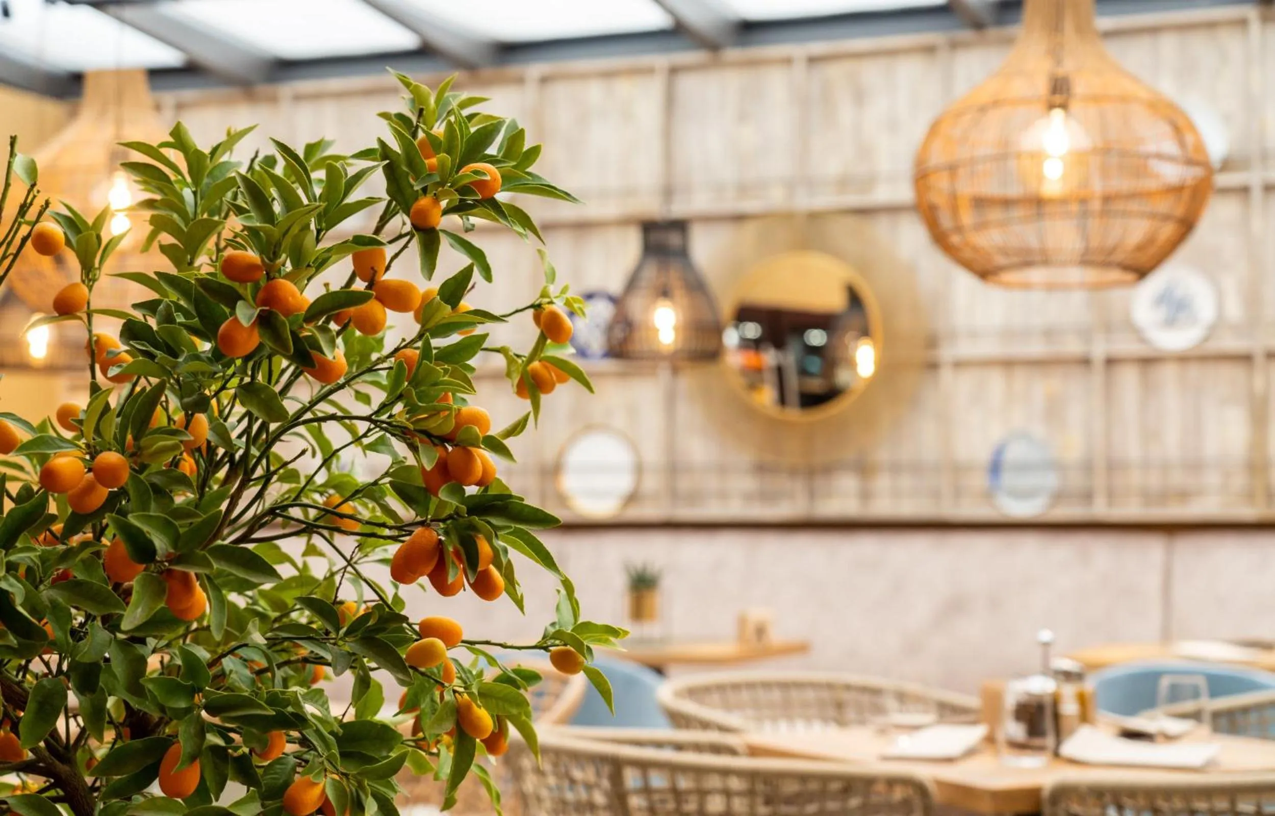 Restaurant/places to eat in Villa Promenade