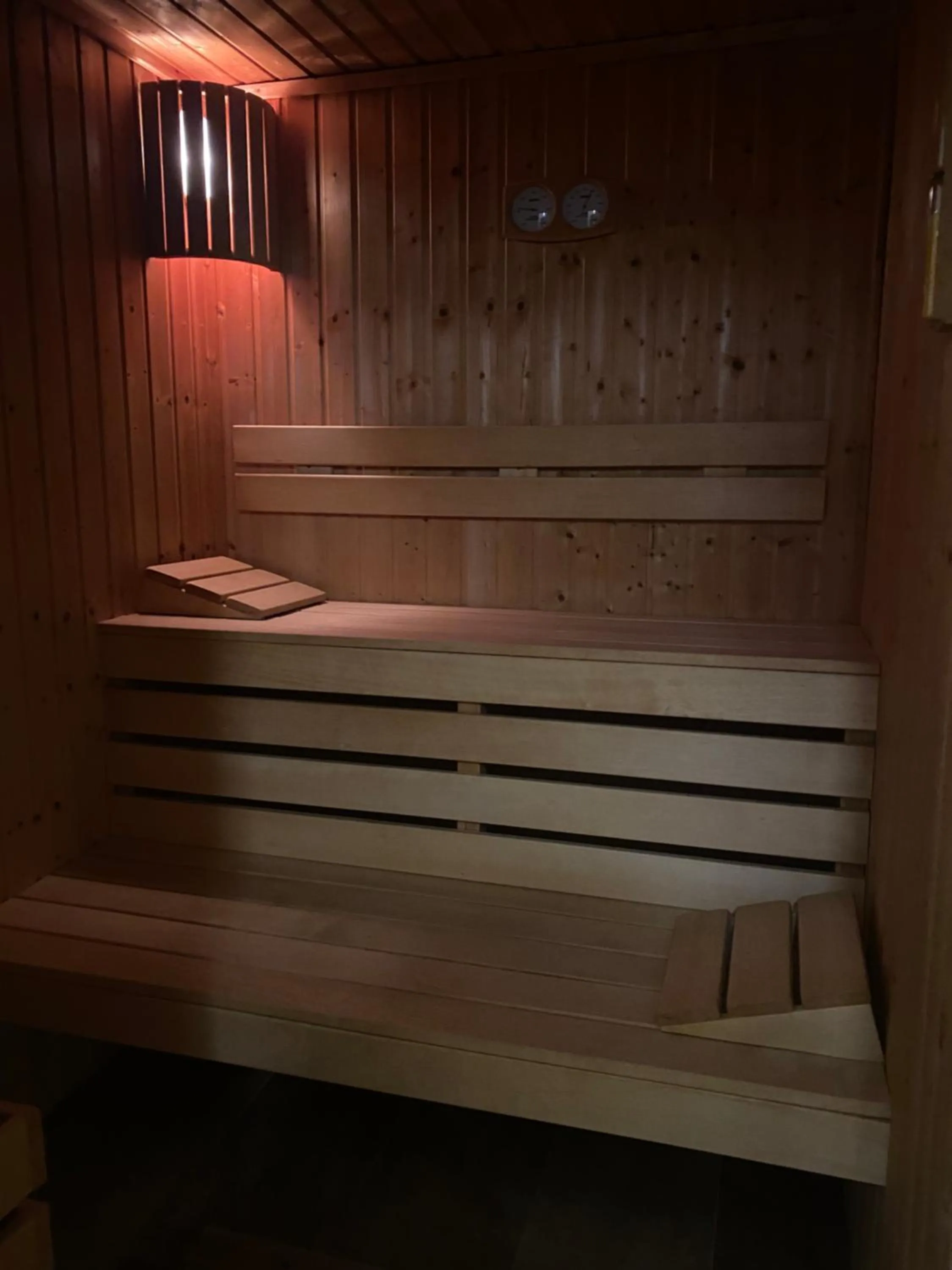 Sauna in Villa Promenade