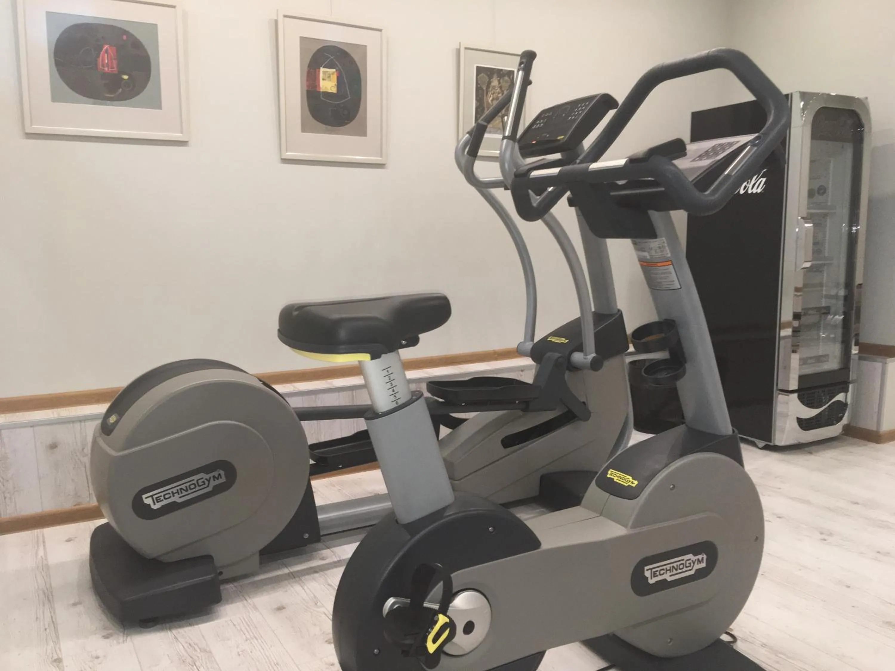 Fitness centre/facilities in Villa Promenade
