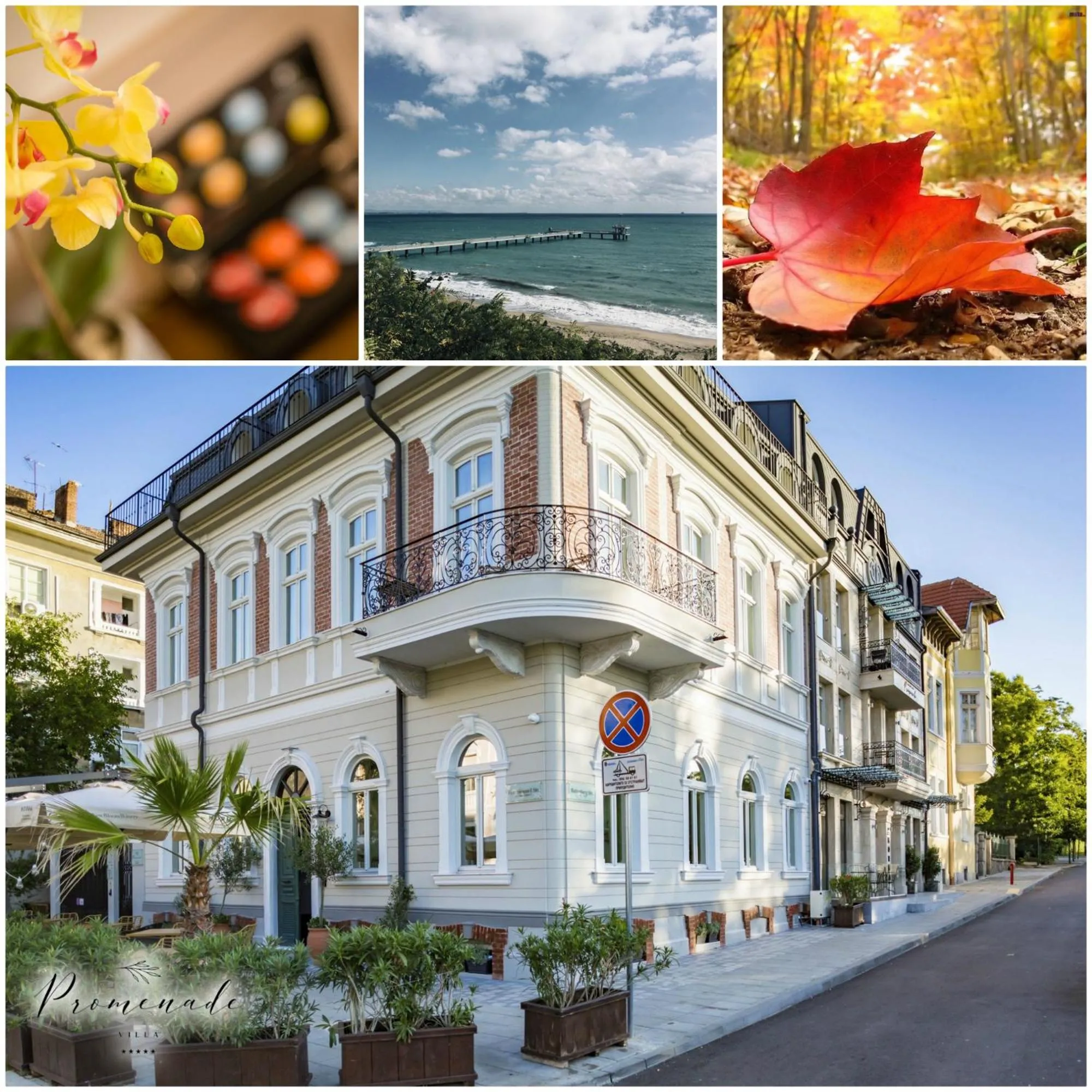 Property building in Villa Promenade