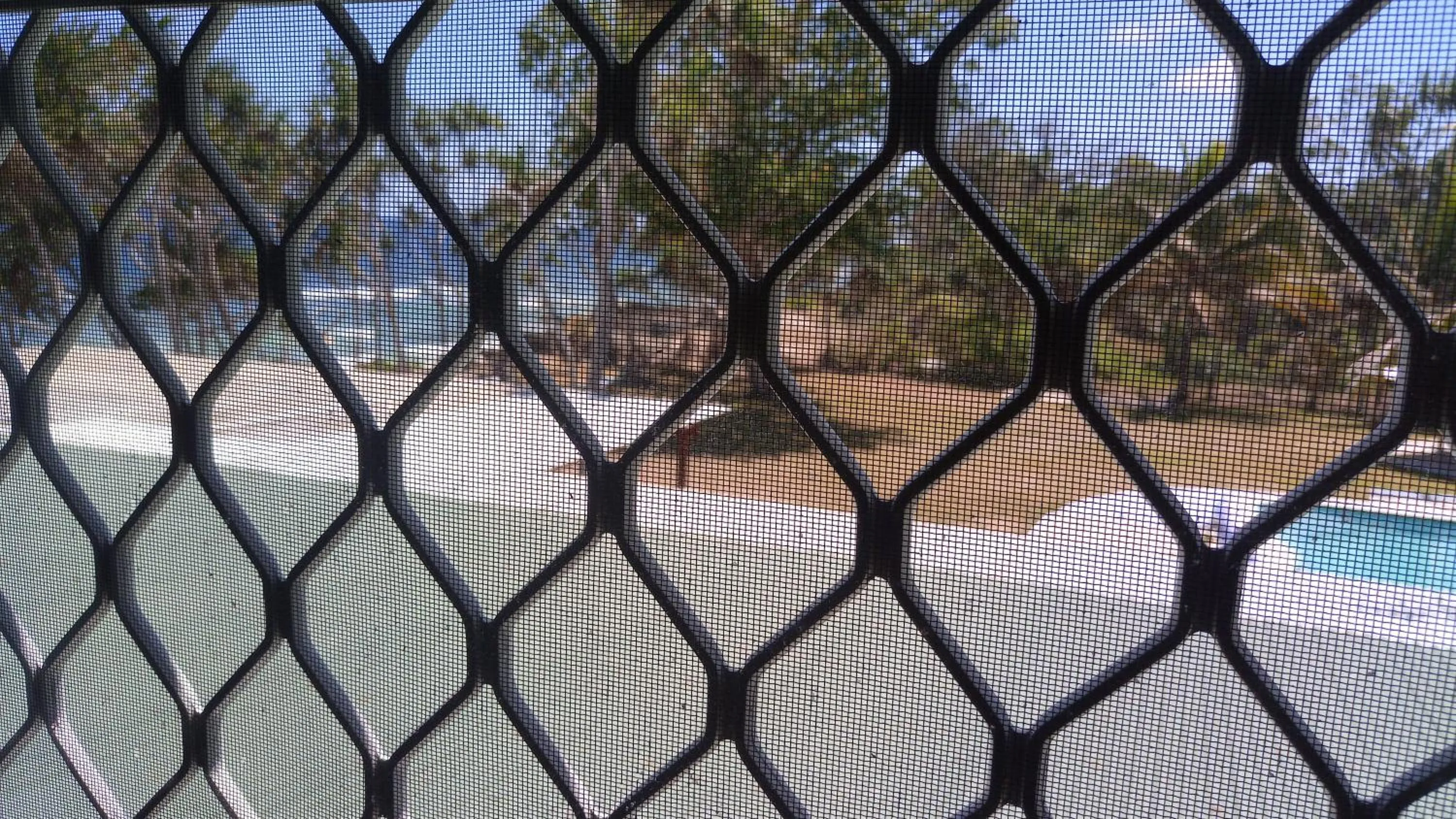 Bluepango Guest House