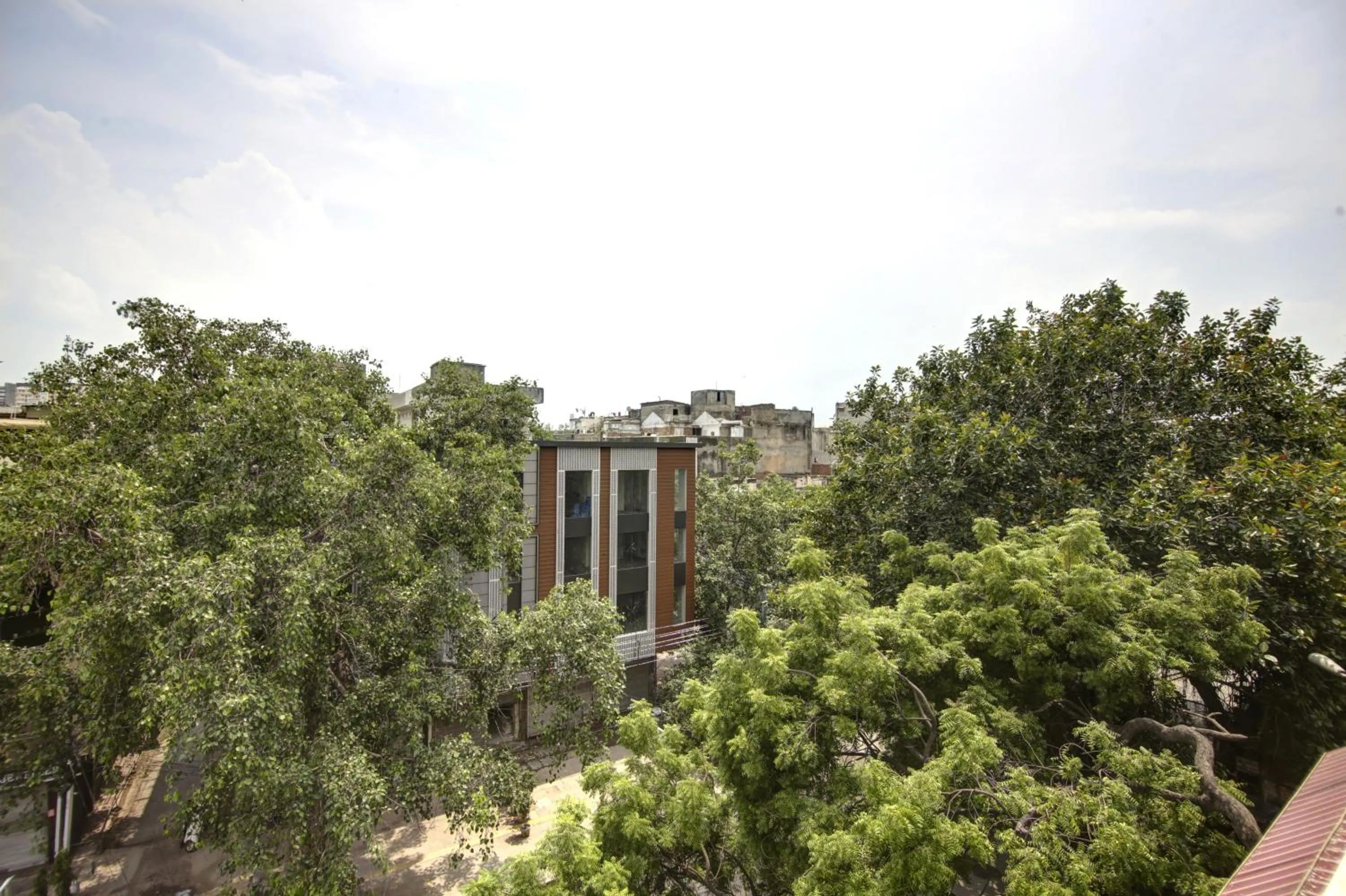 Natural landscape in Hotel BB Palace (A Family Hotel)