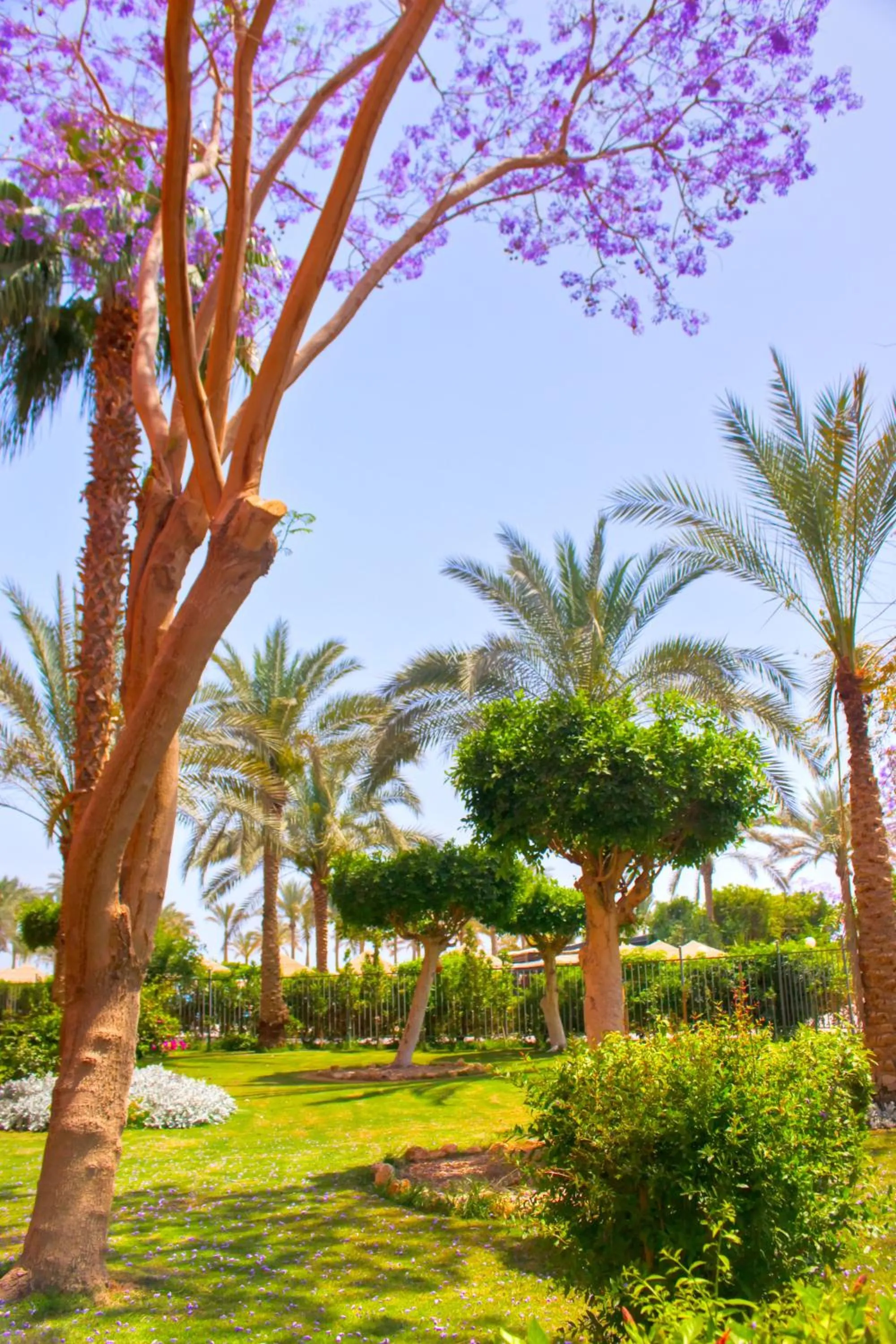 Property building in Kefi Palmera Beach Resort El Sokhna - Family Only