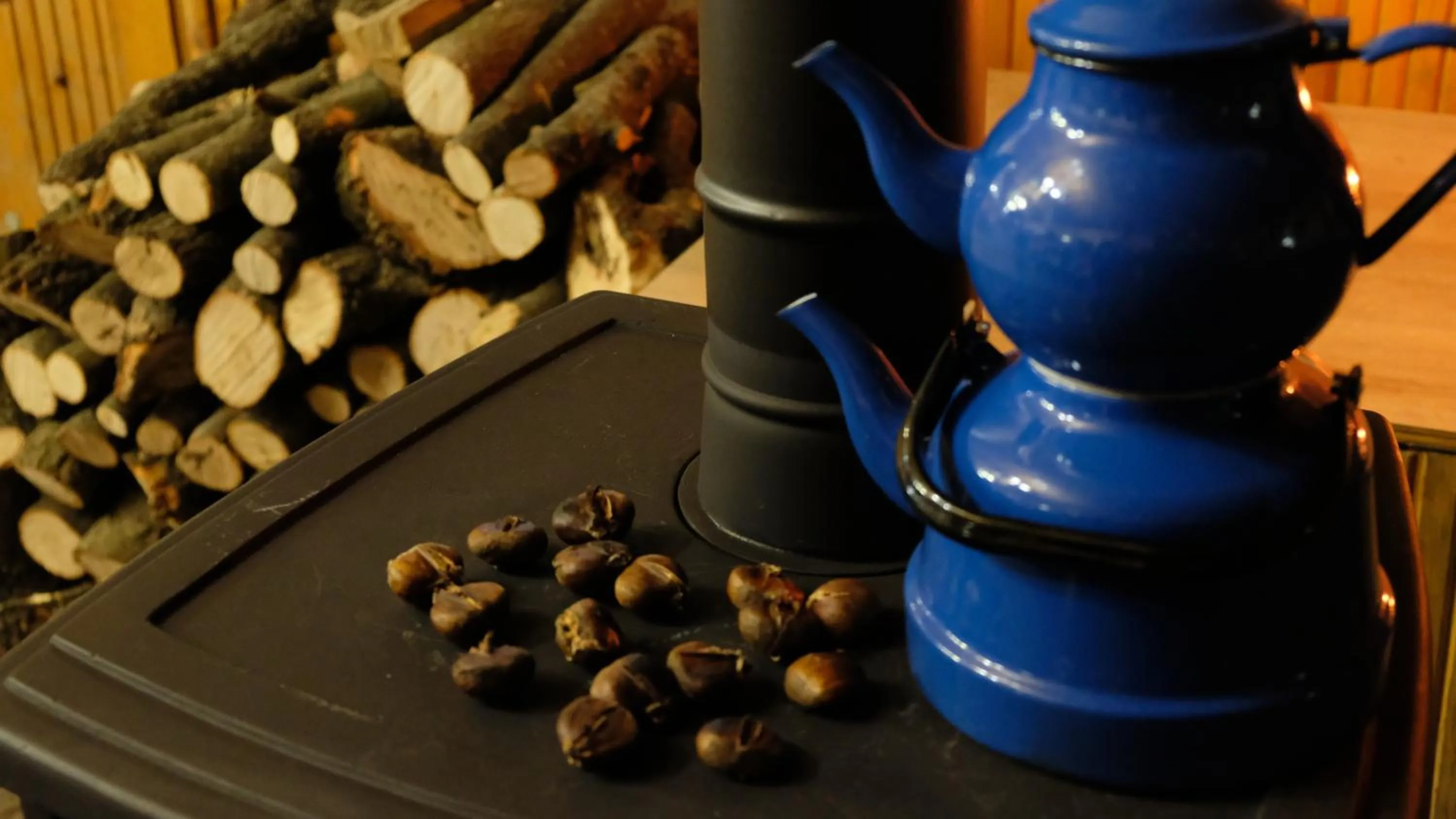 Banquet/Function facilities in Basaranlar Thermal Otel