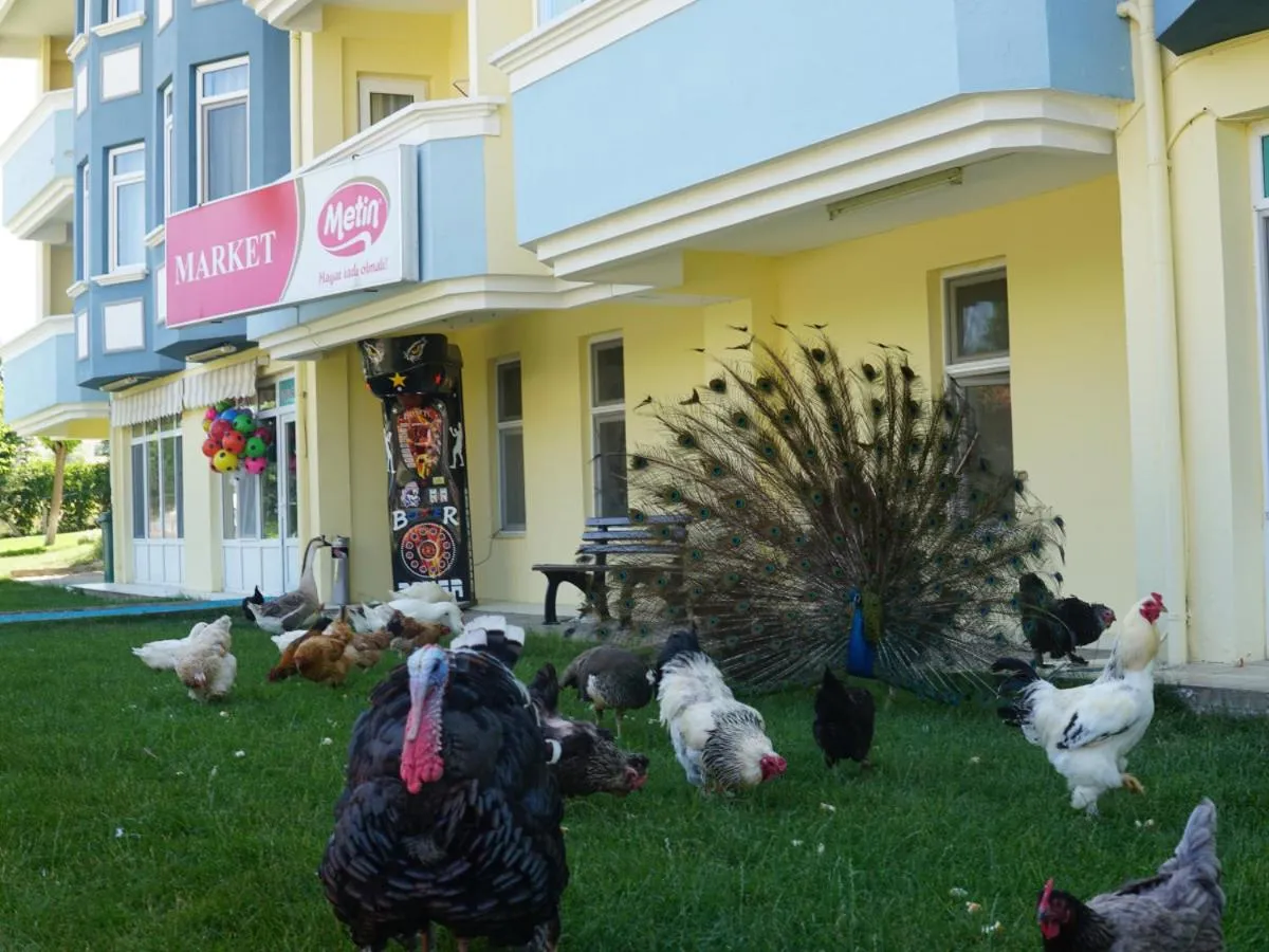 Billiard in Basaranlar Thermal Otel