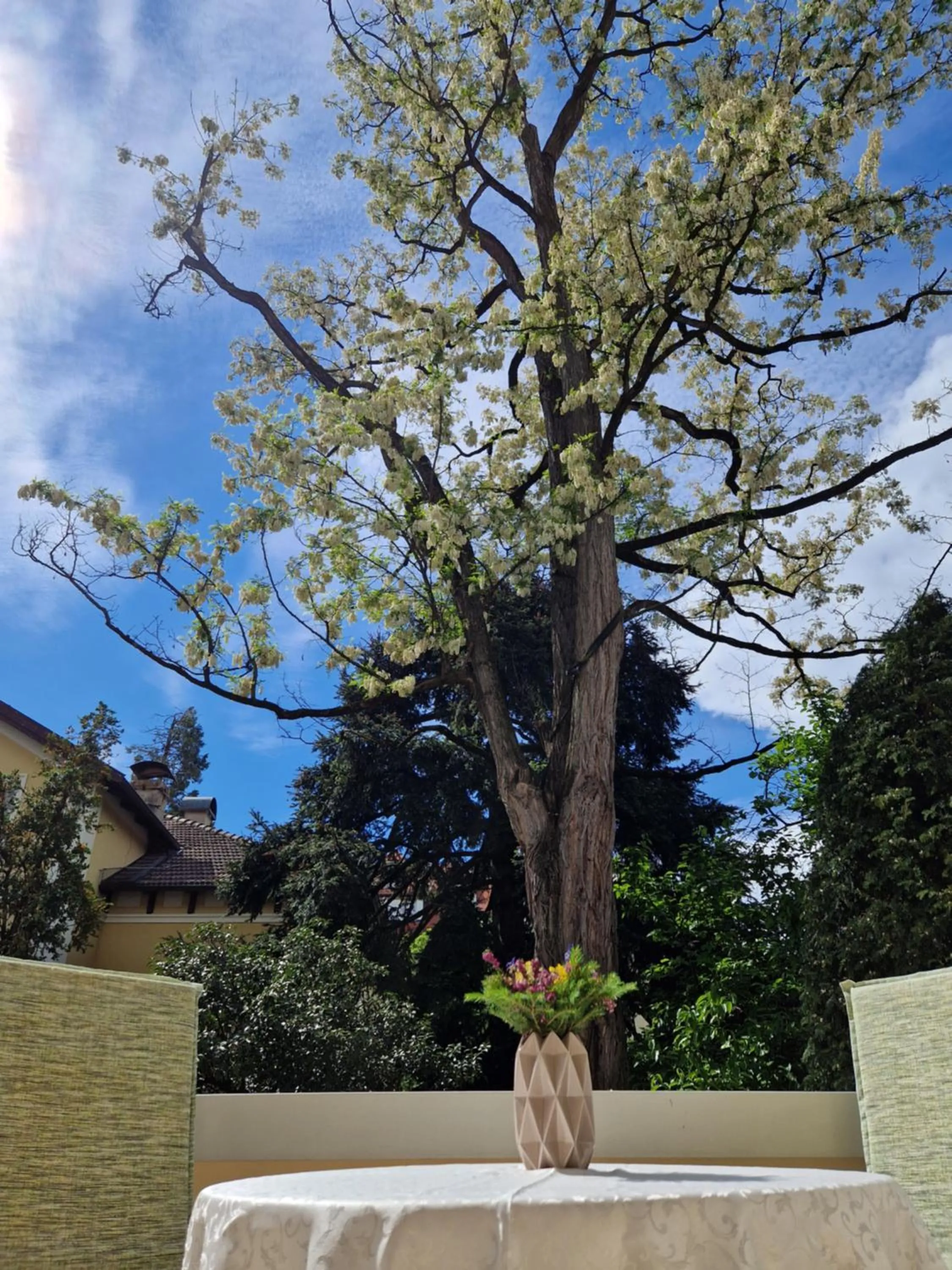 Spring in Residence Diana