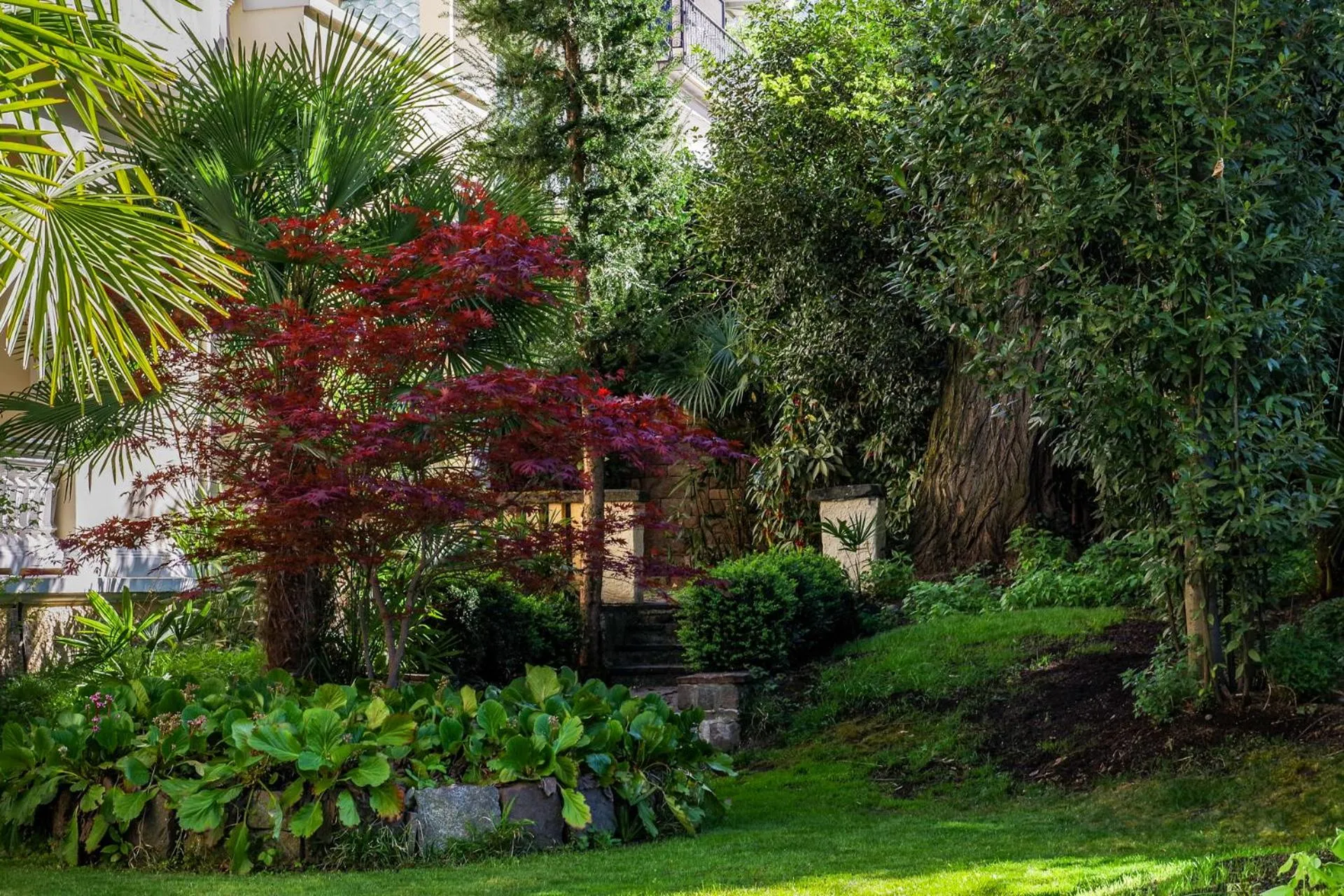 Garden view in Residence Diana