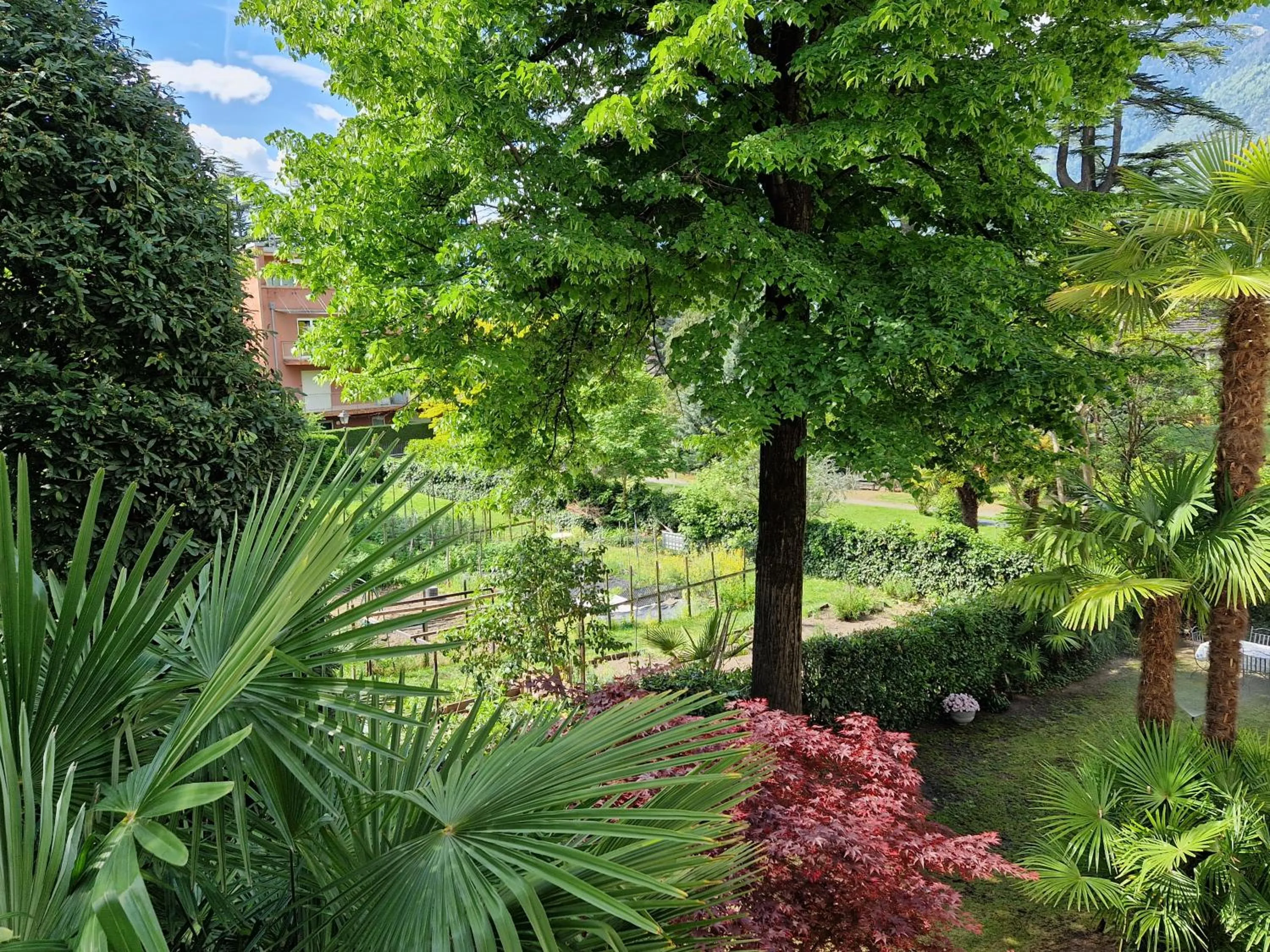 Garden view in Residence Diana