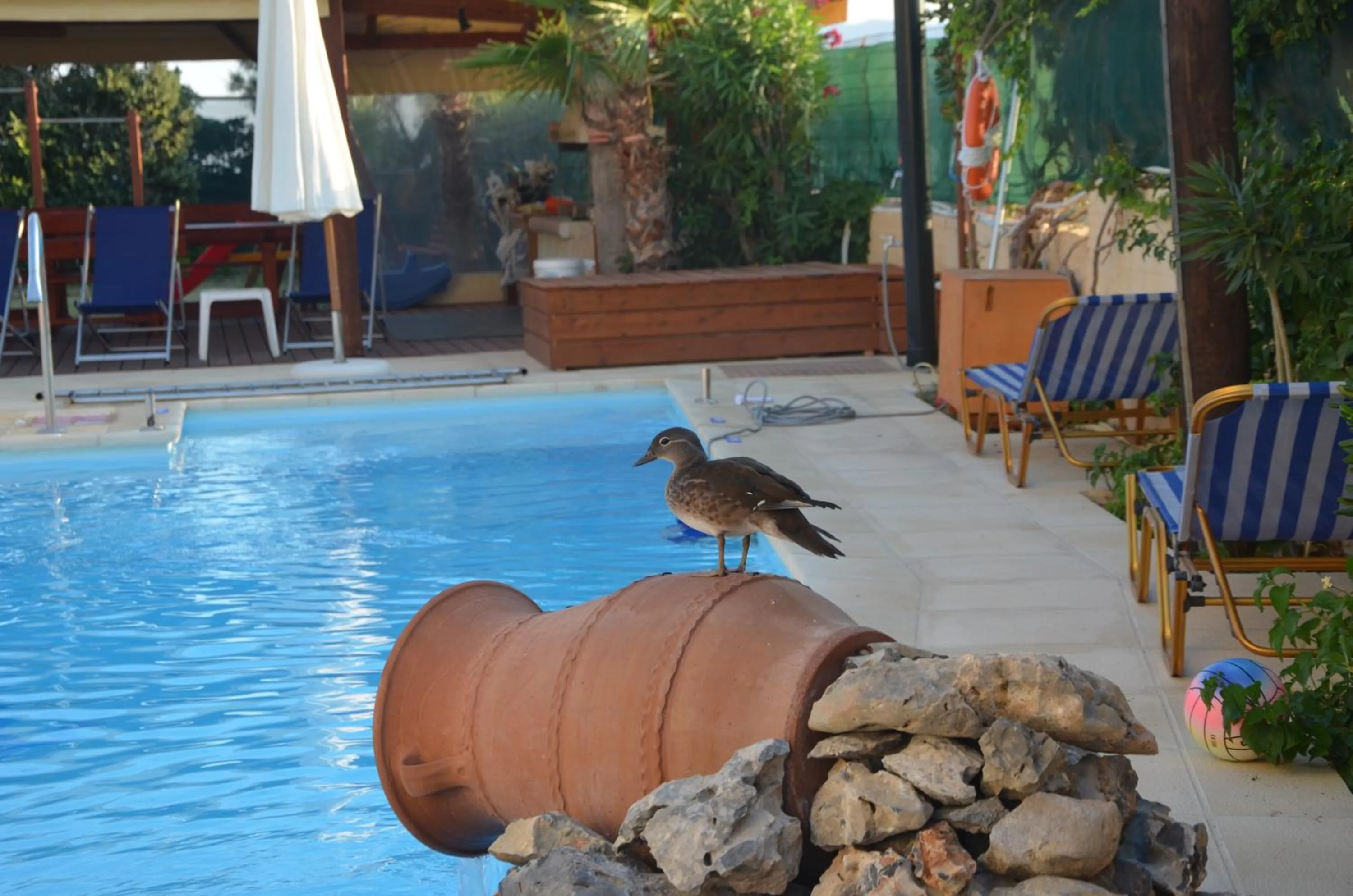 Patio in Thalassa Apartments