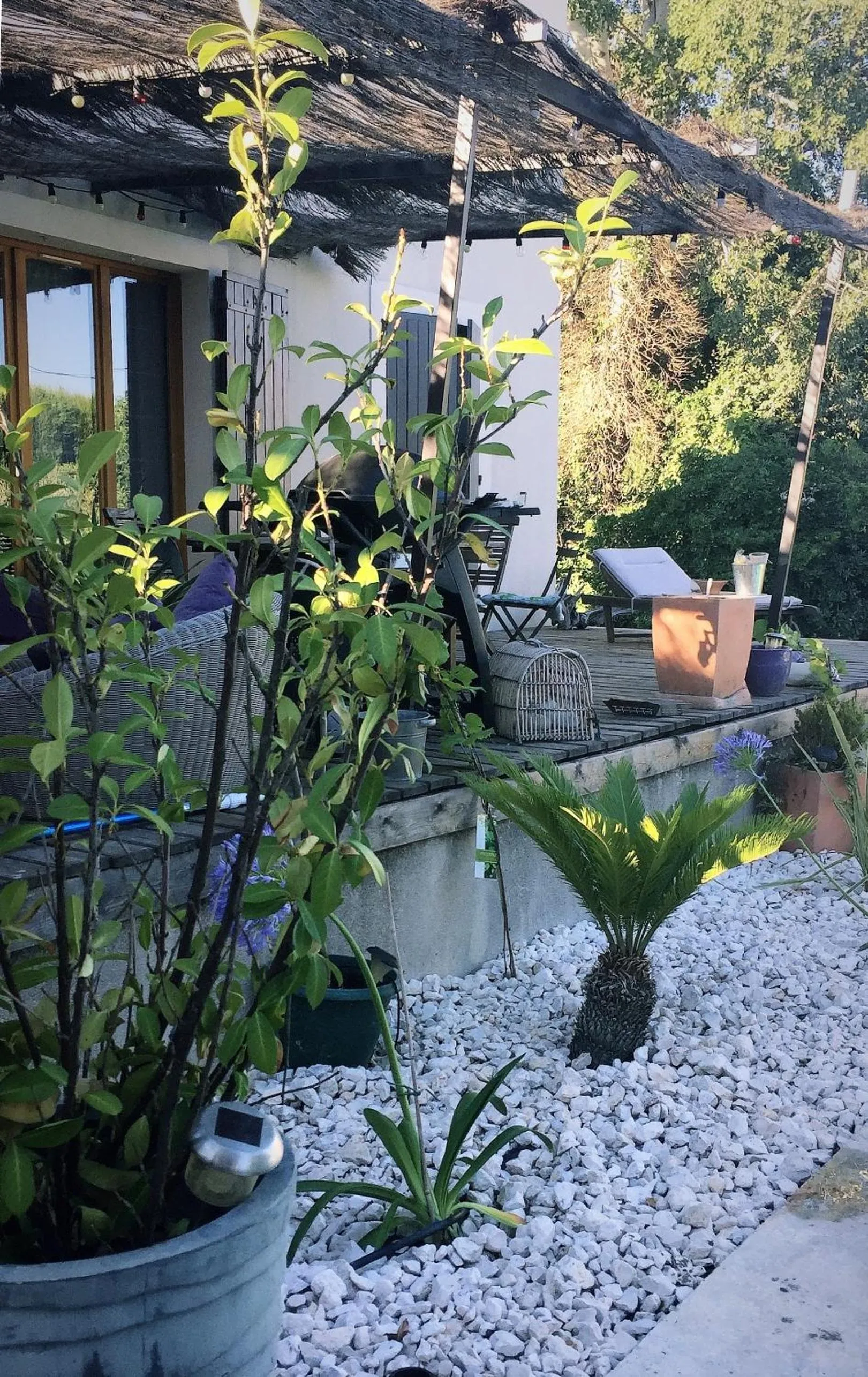 Balcony/Terrace in Chambre et table d hotes chez Dom