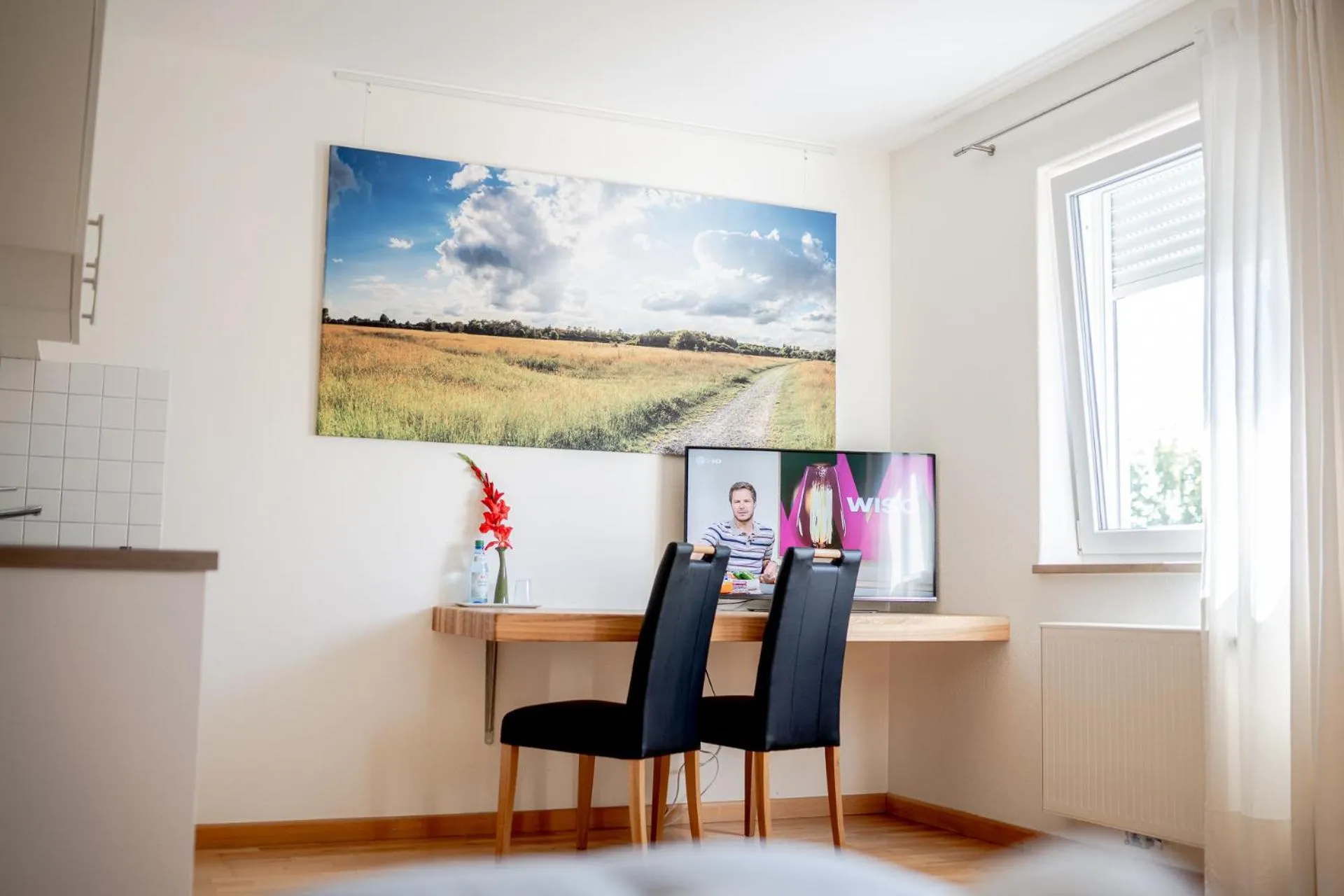 TV and multimedia in Hotel Donau-Ries