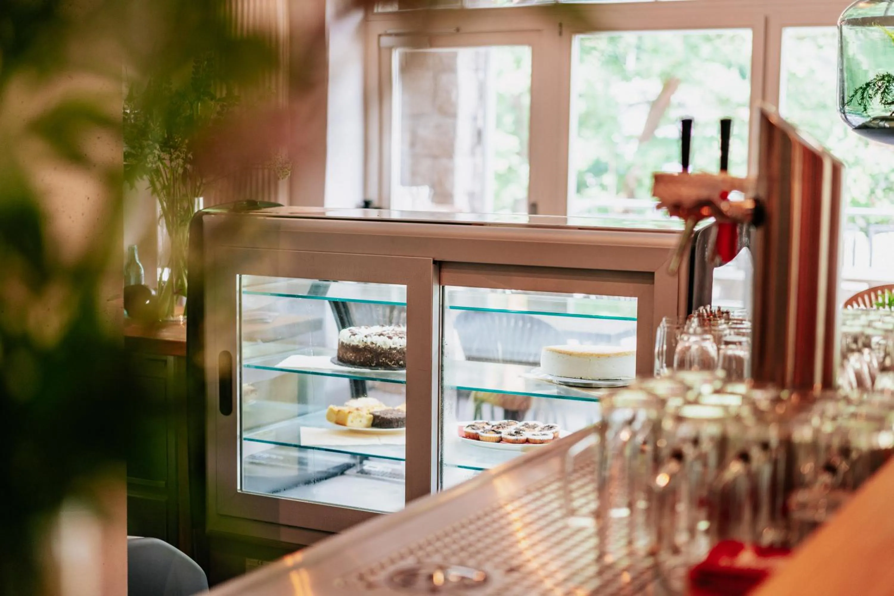 Food and drinks in Hotel Villa Bodeblick