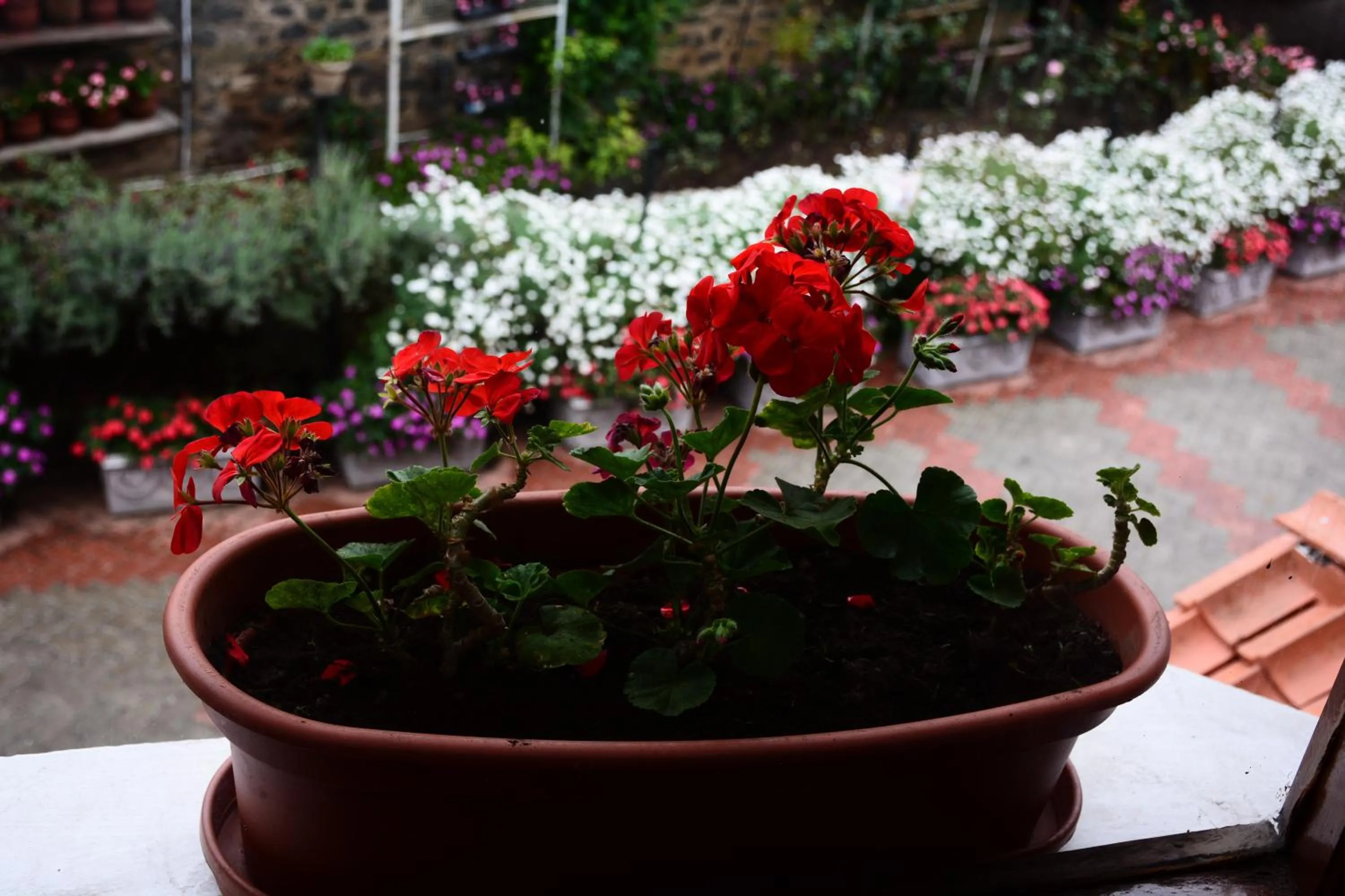 Garden in JC Residency