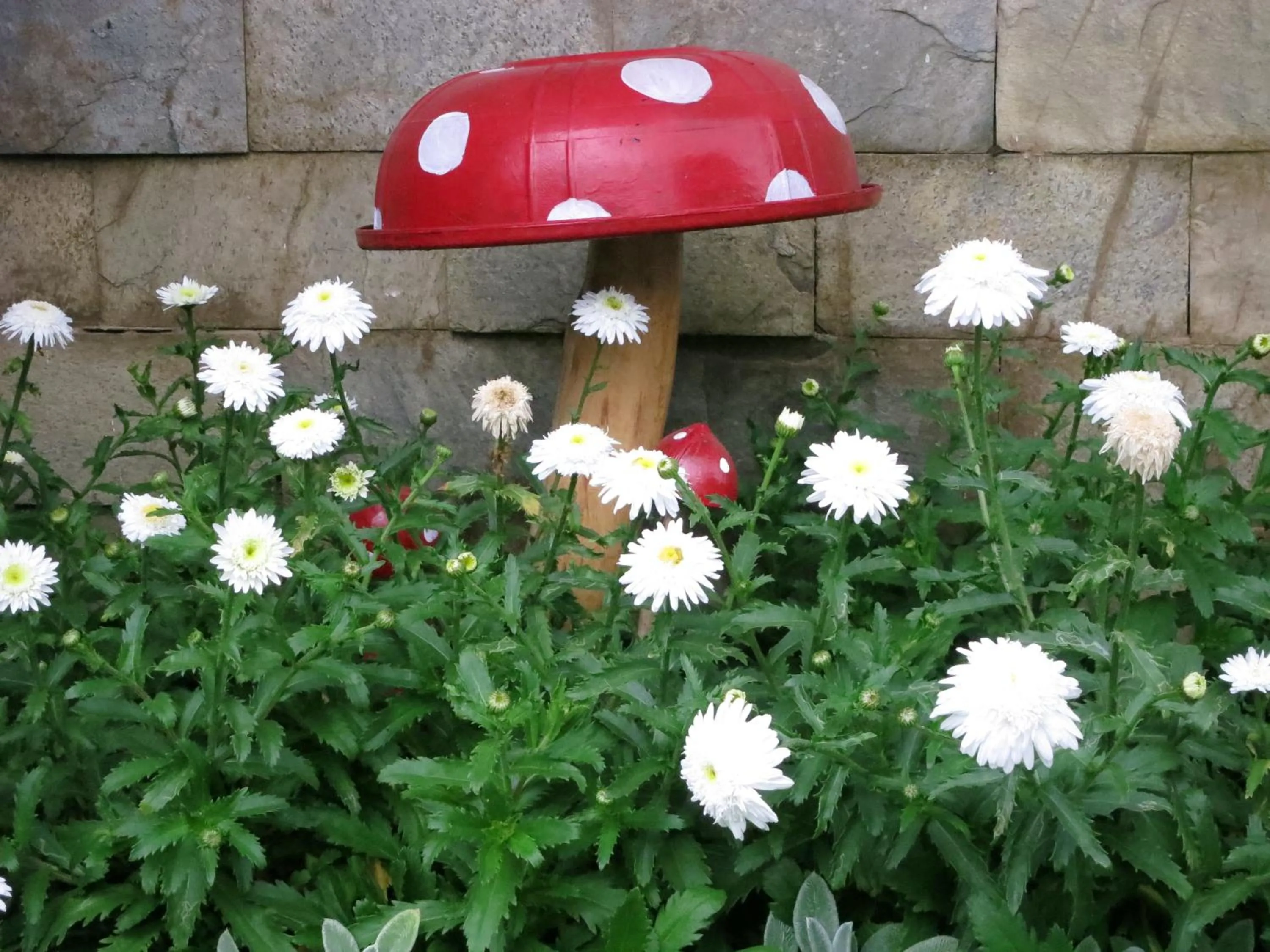 Garden in JC Residency