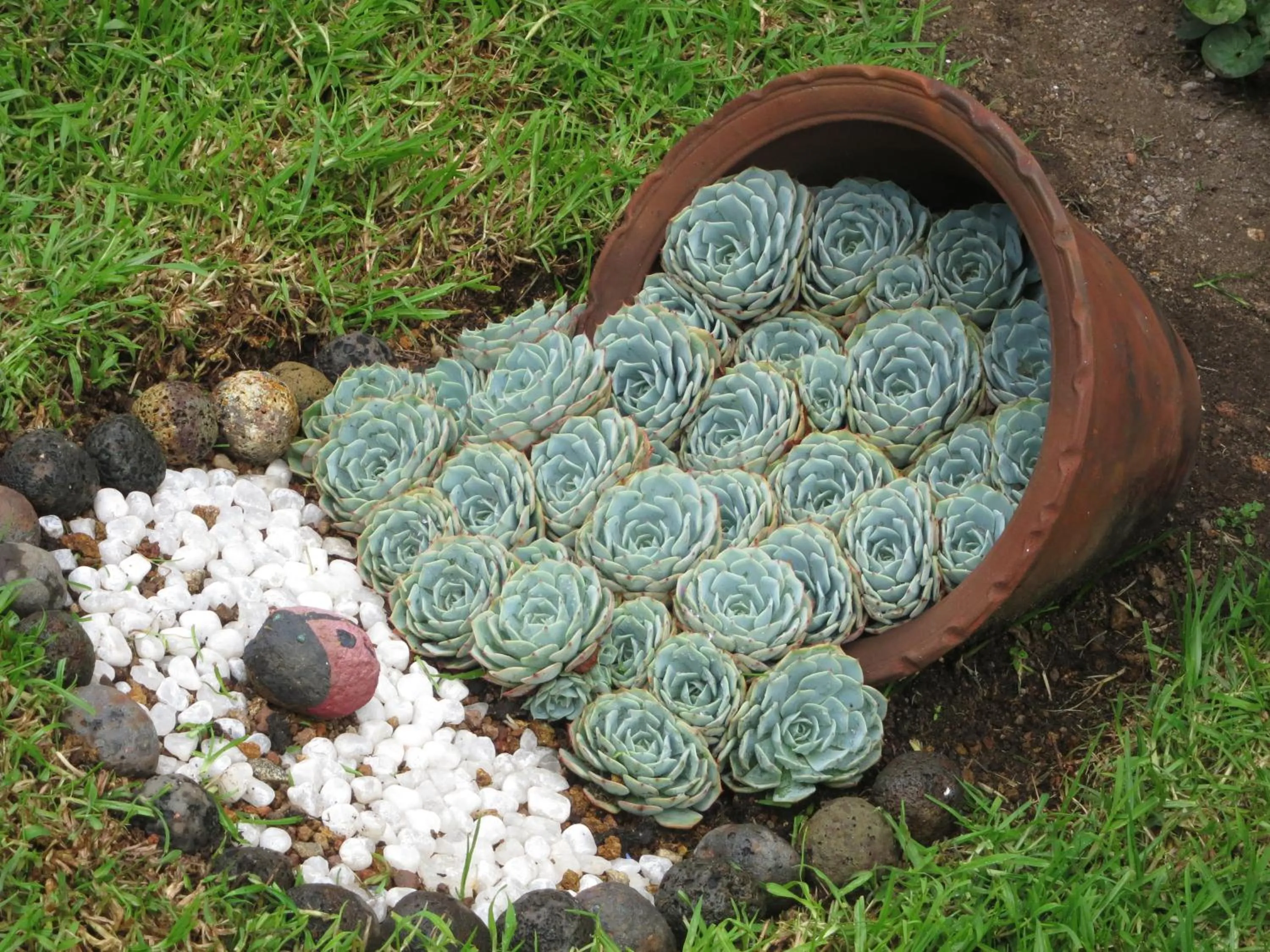 Spring in JC Residency