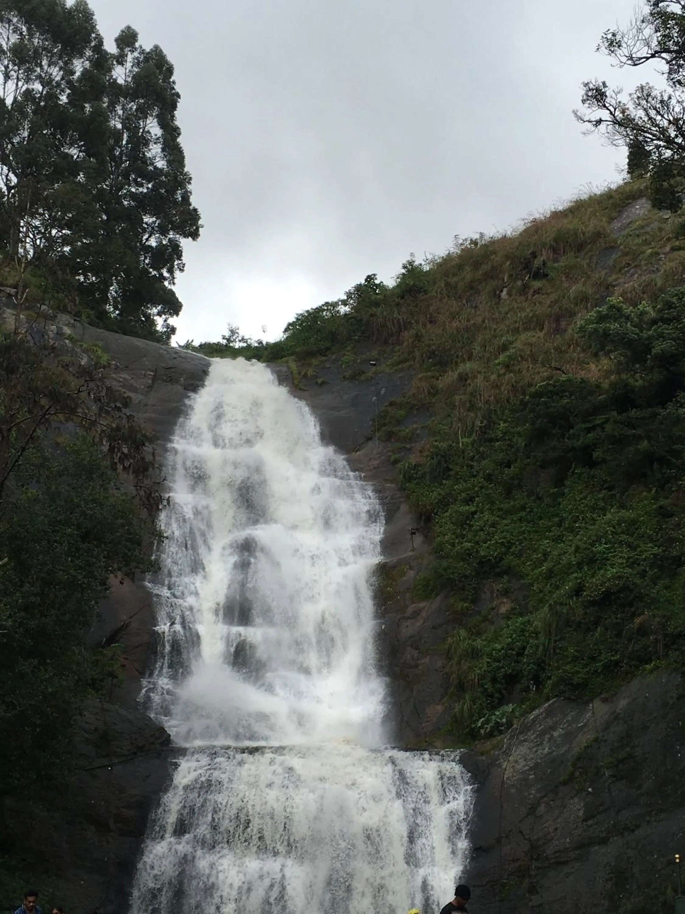 Nearby landmark in JC Residency