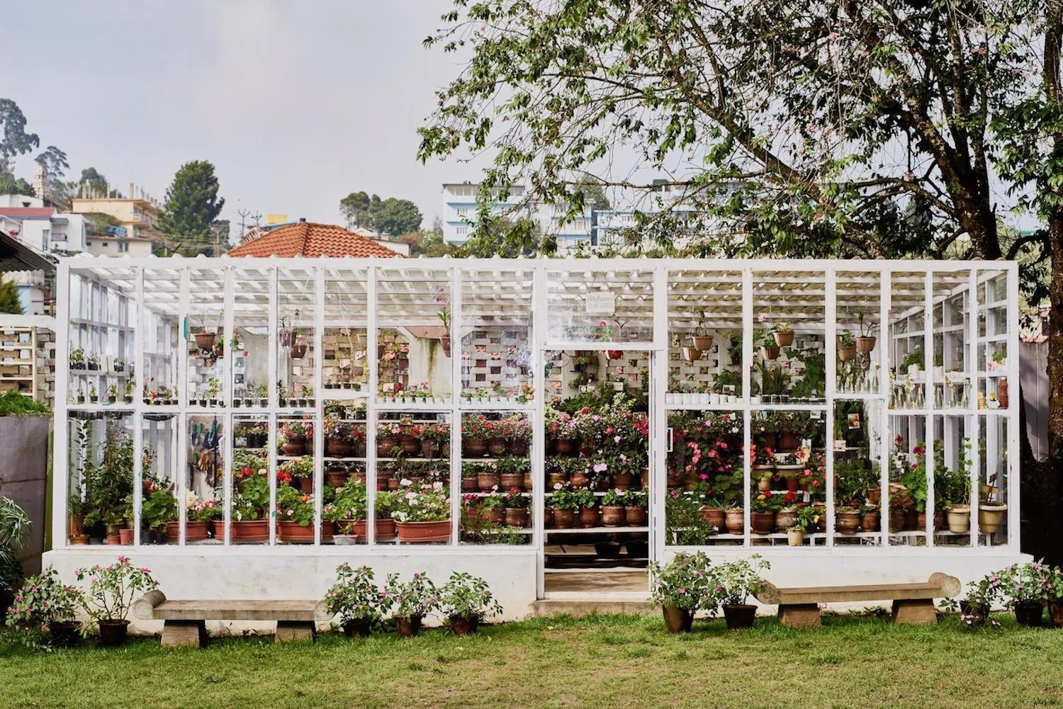 Natural landscape in JC Residency