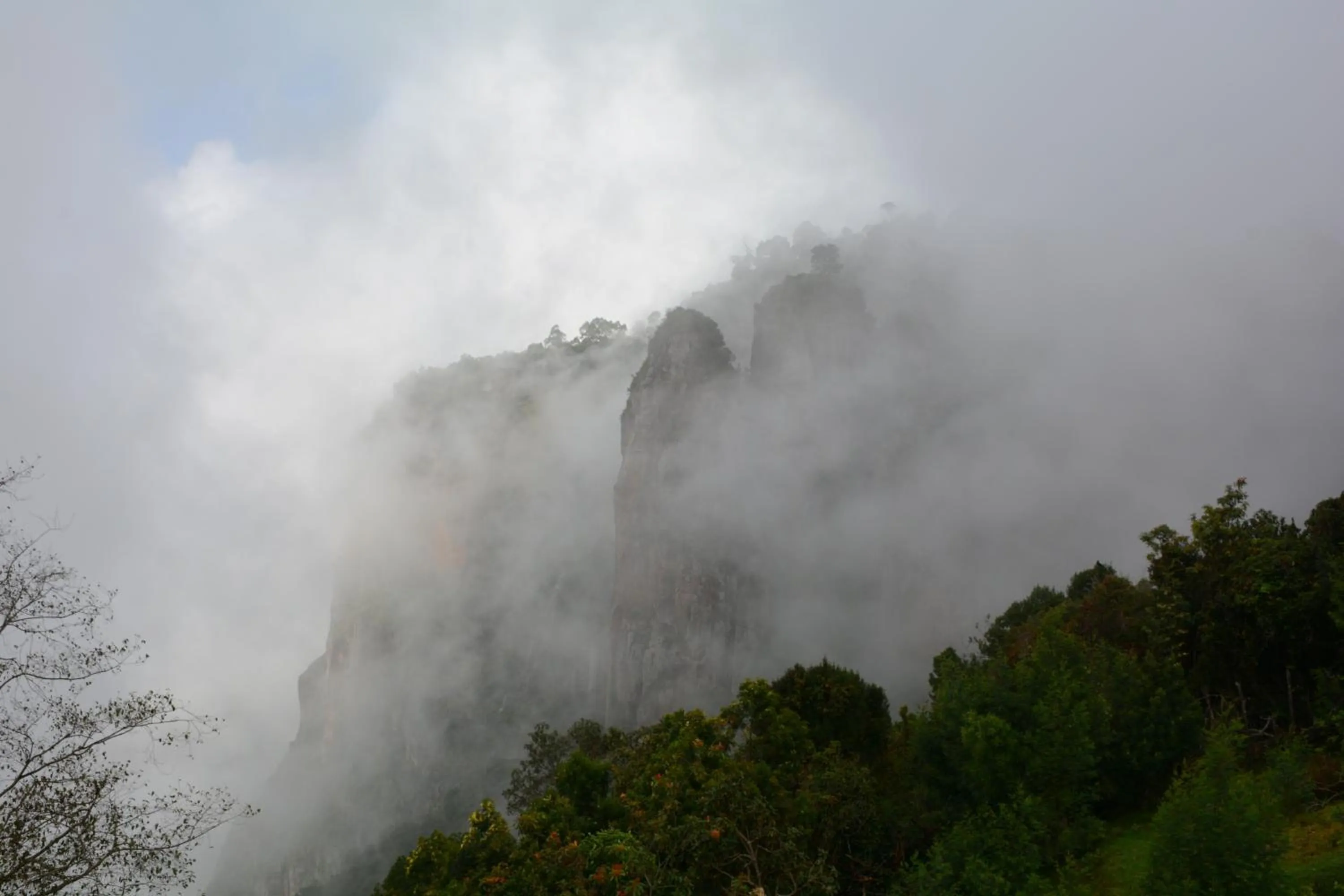 Spring in JC Residency