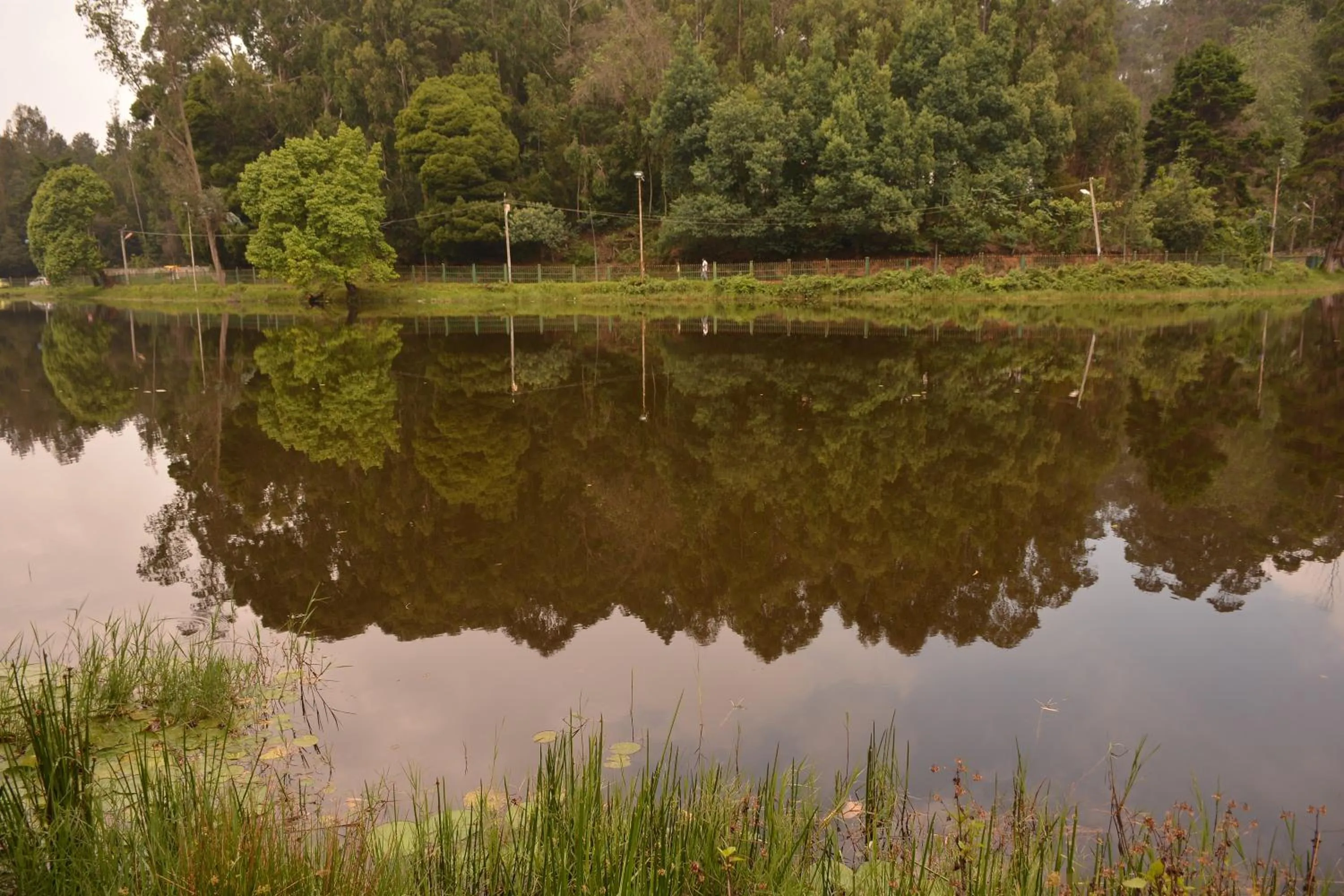 Off site in JC Residency