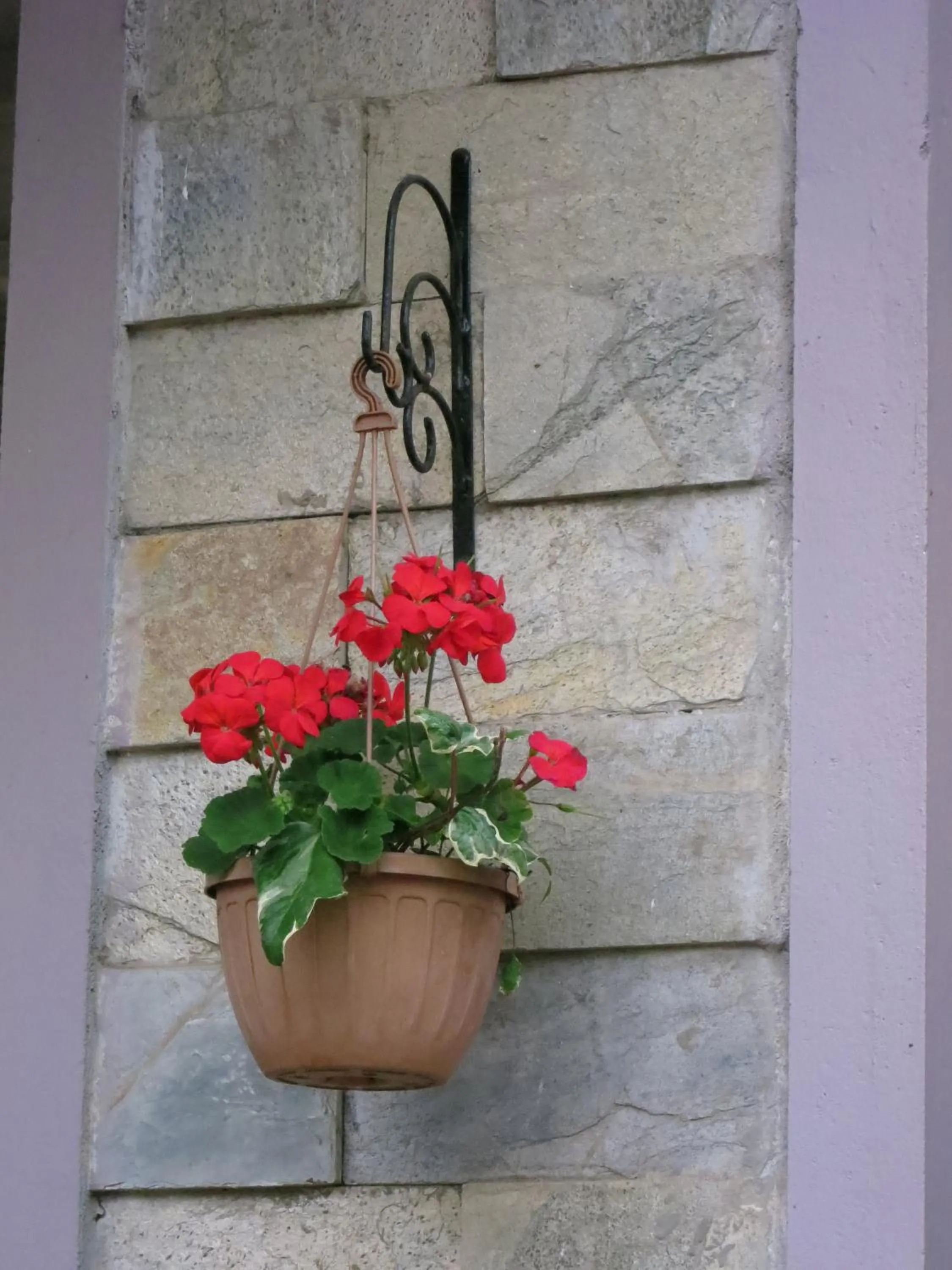 Garden in JC Residency