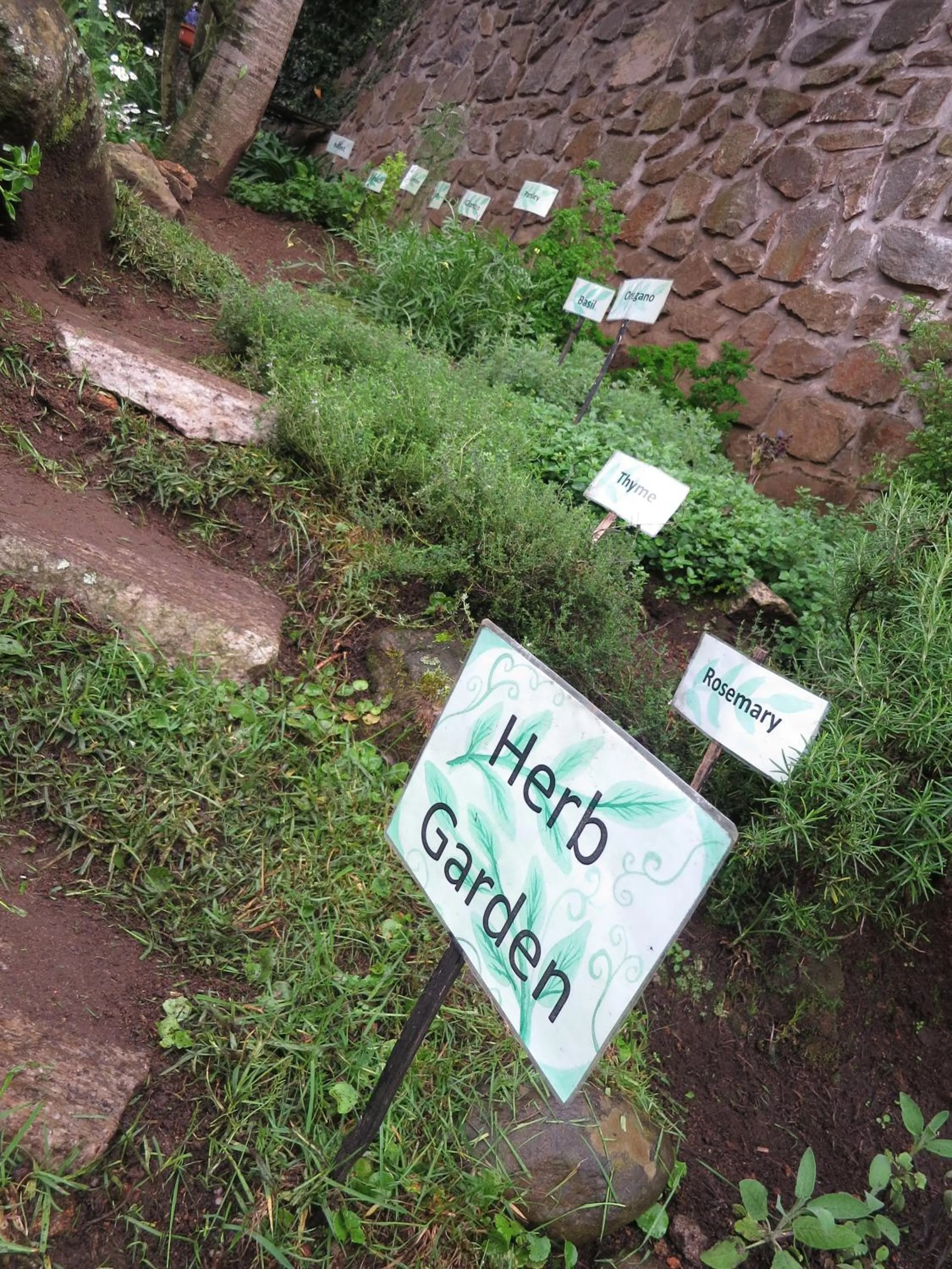 Garden in JC Residency