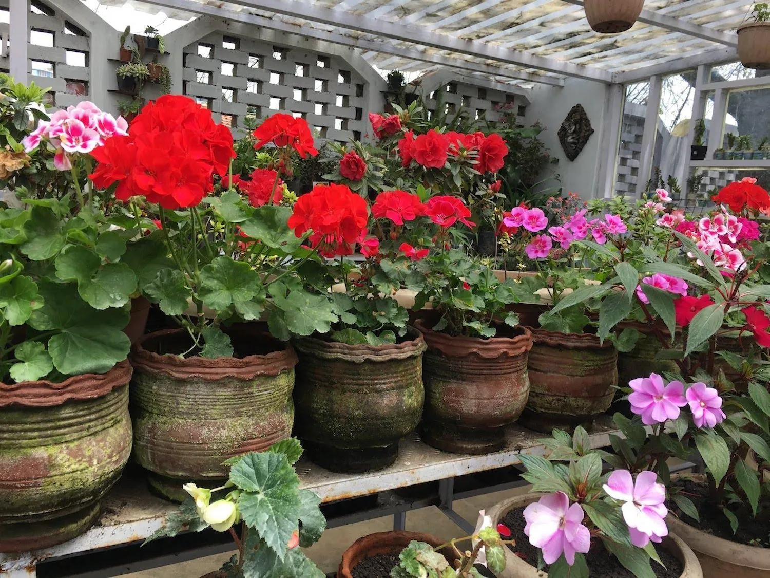 Garden in JC Residency