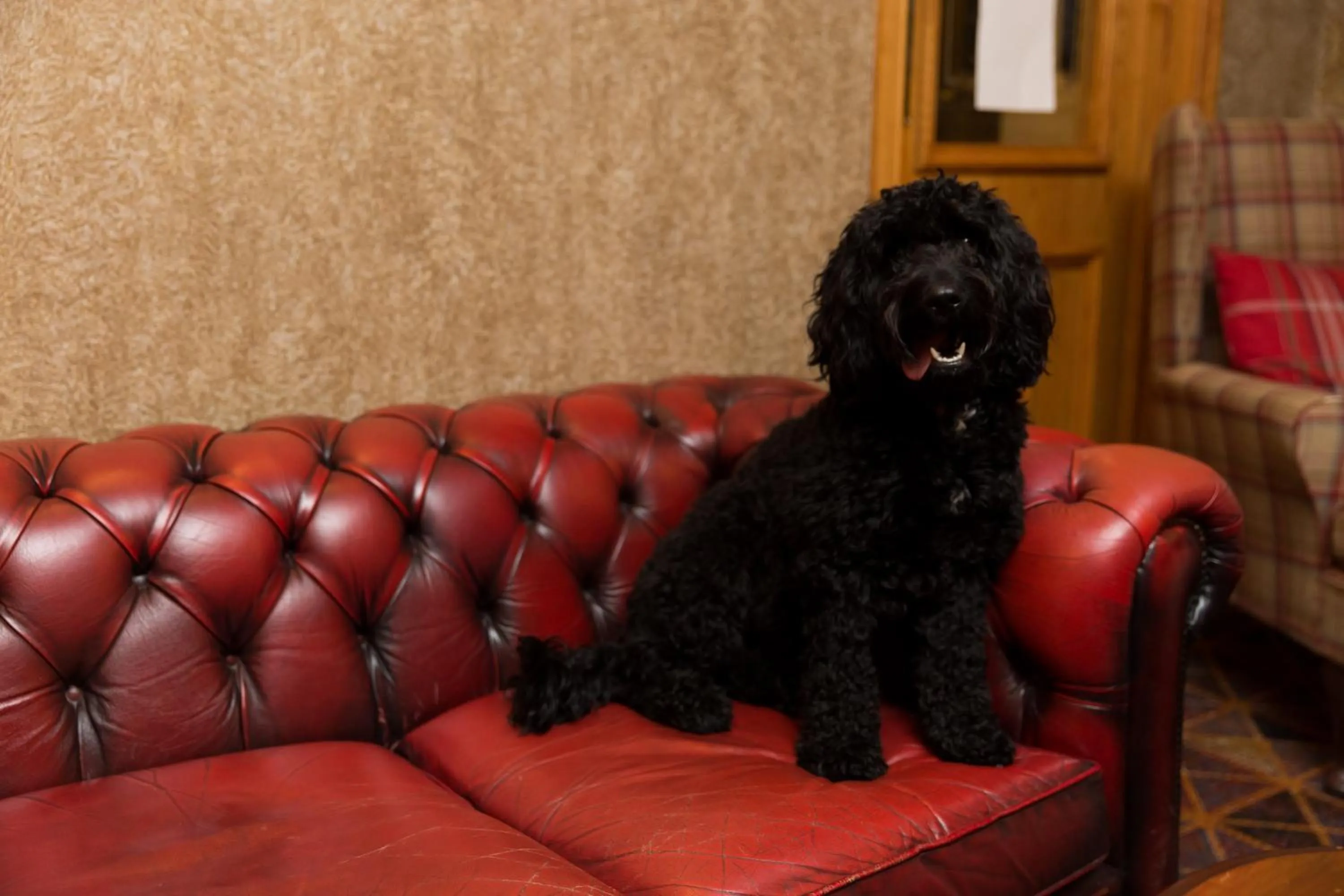 Food and drinks in Warkworth House Hotel