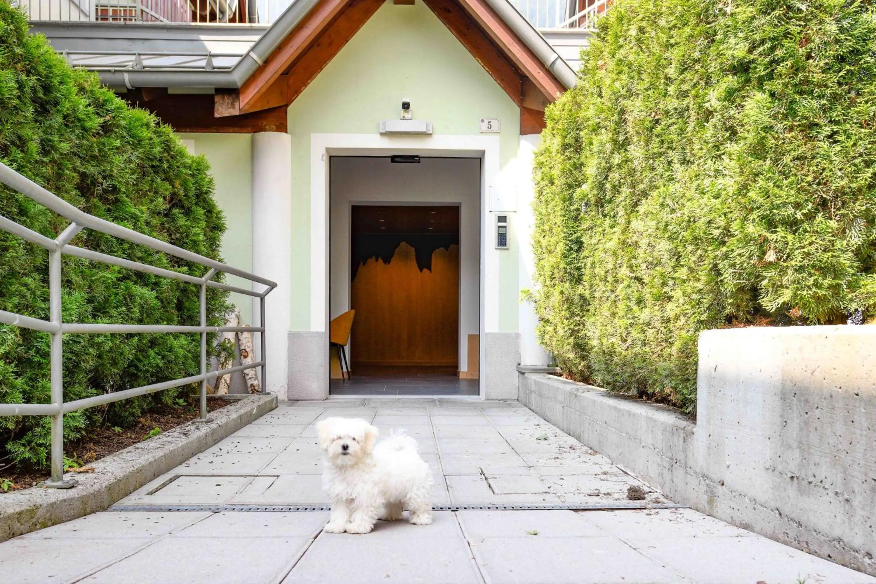 Animals in Residence Rta La Rosa delle Dolomiti