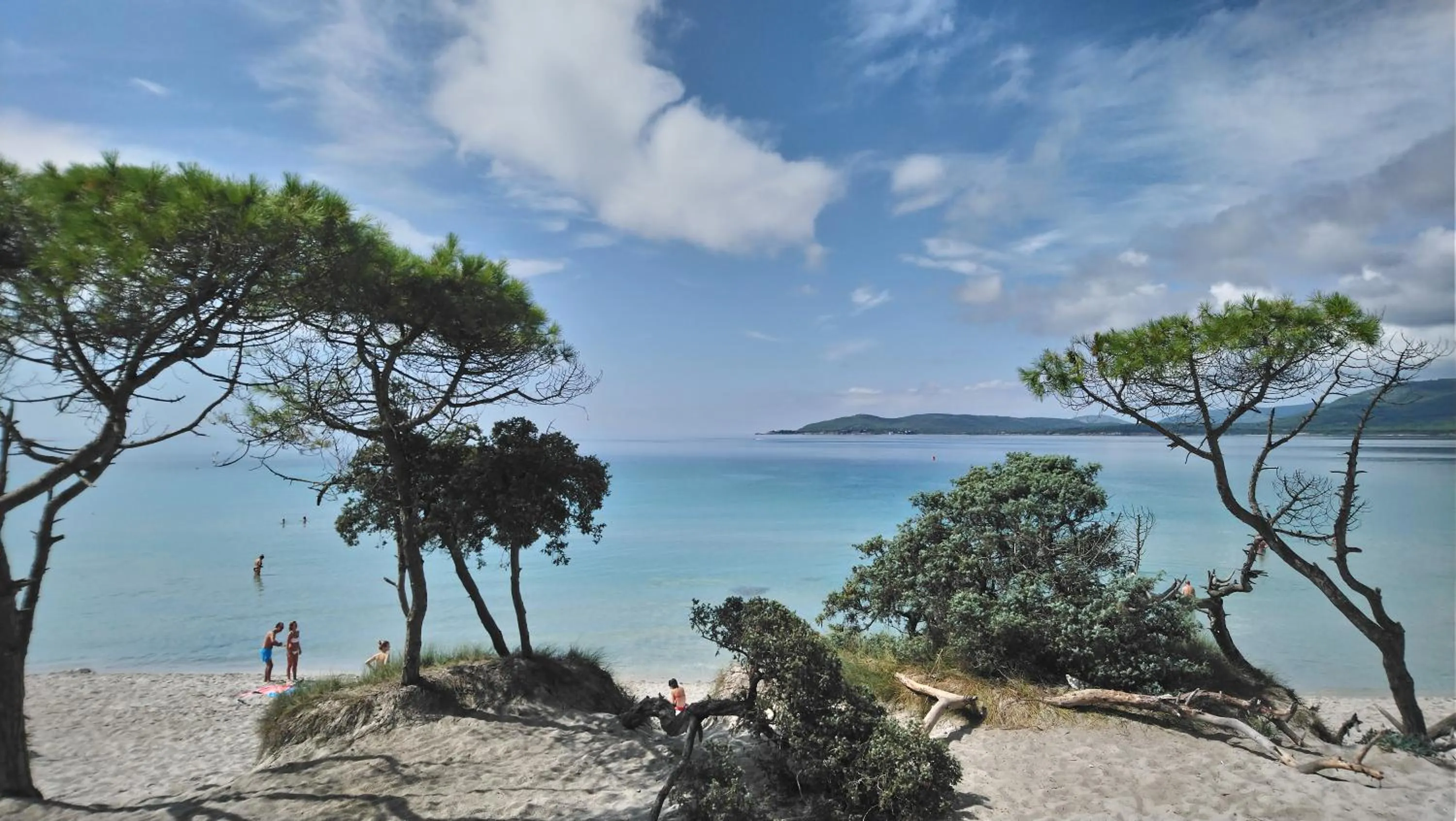 Neighbourhood in B&B Gaudì