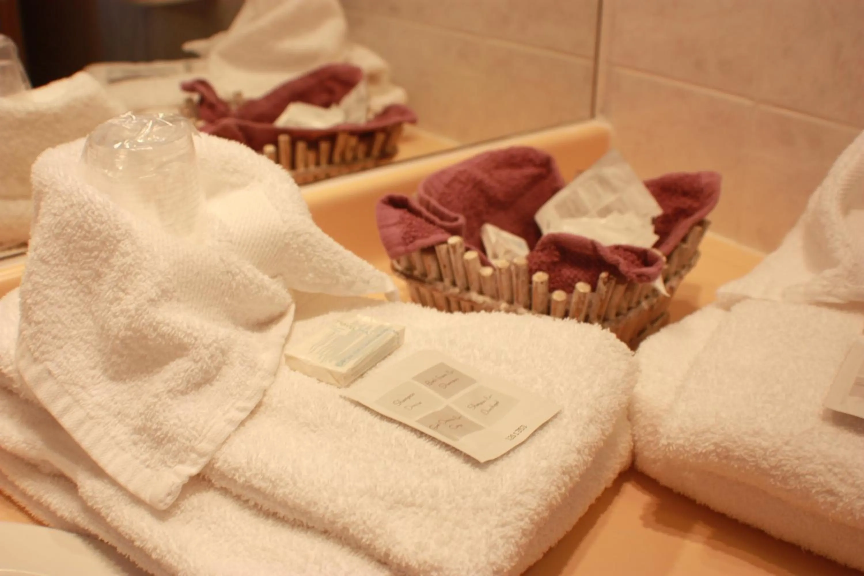 Bathroom in FranceComfort - L'Espinet