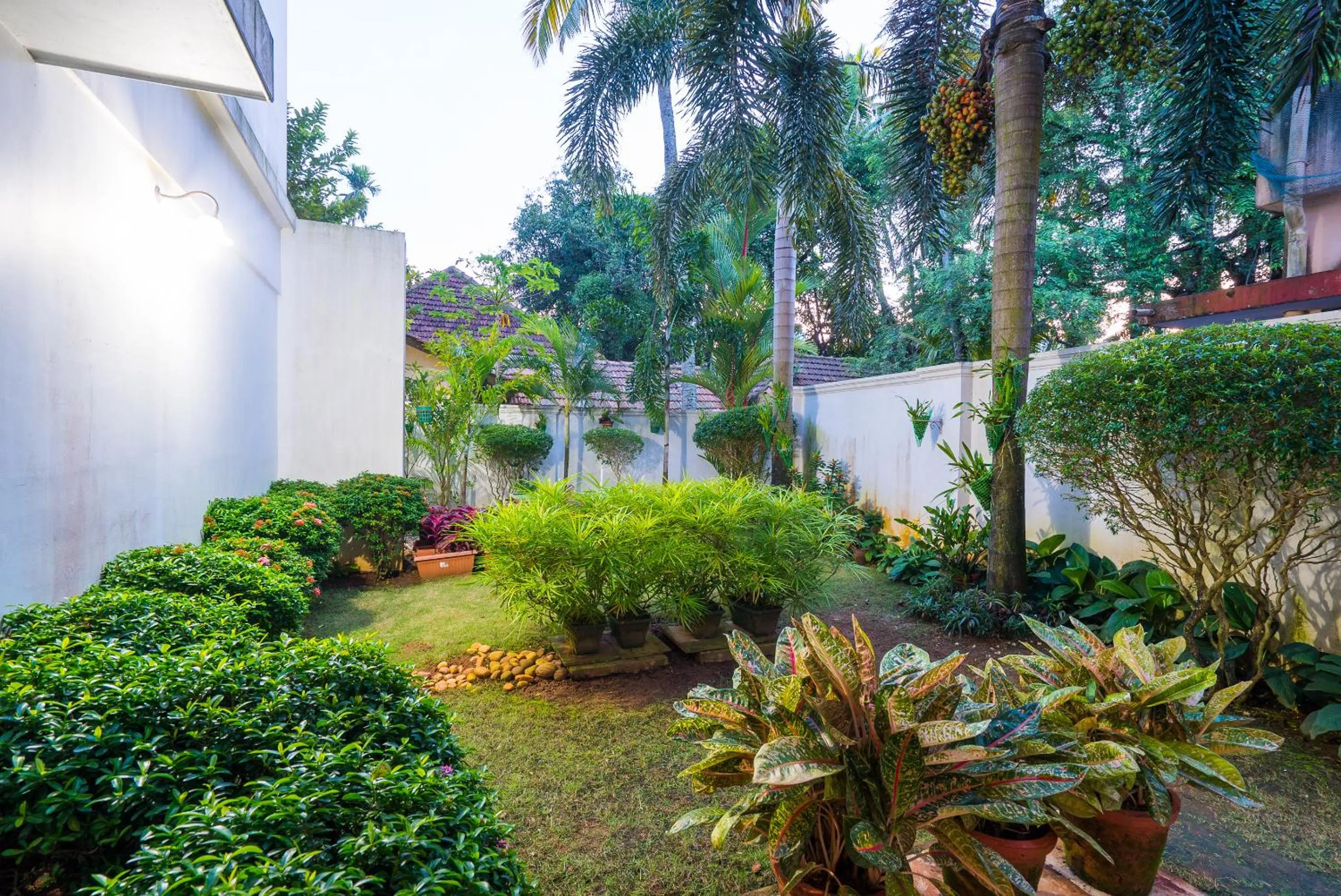 Garden in Tissa's Inn