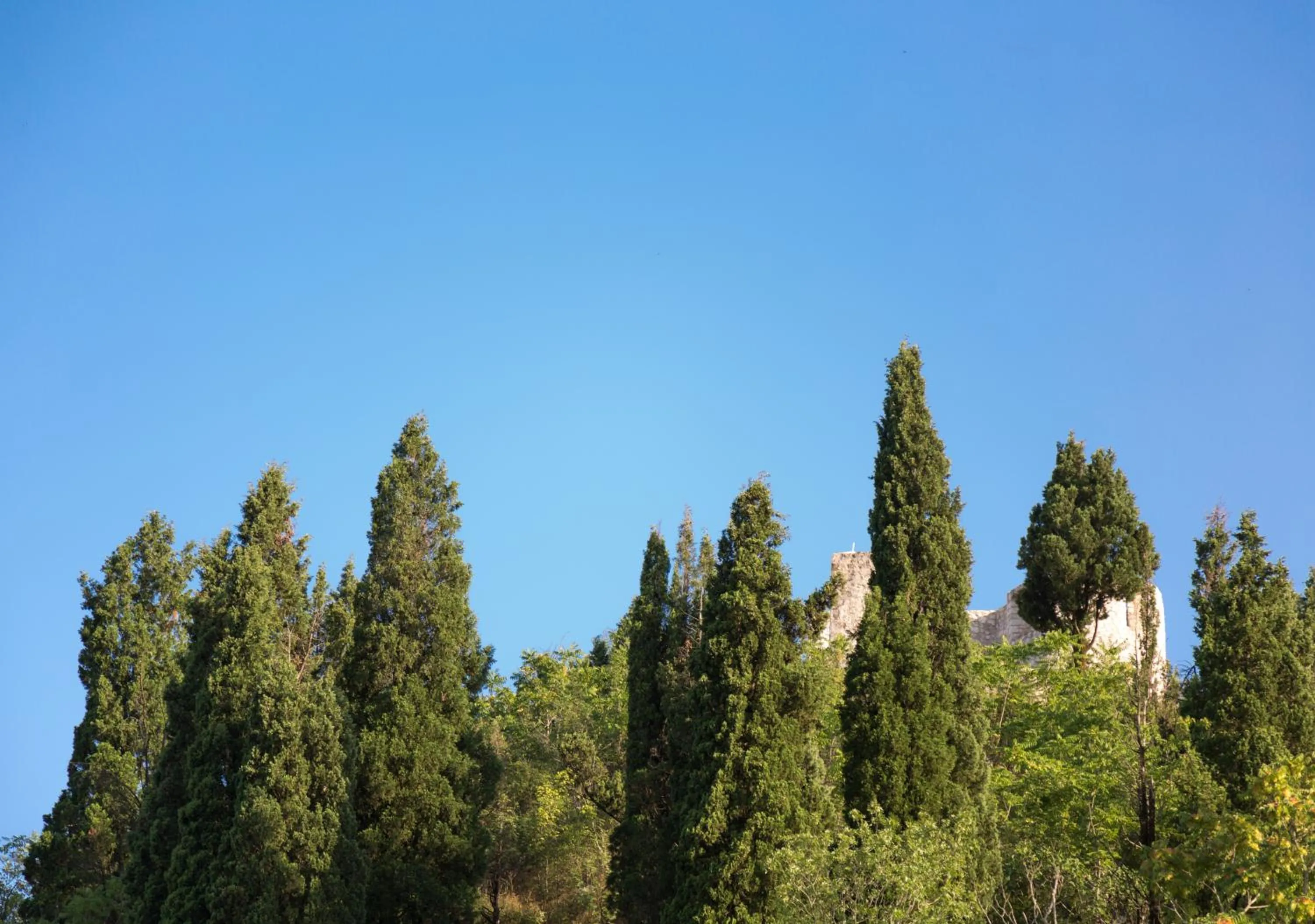 Vasiliki