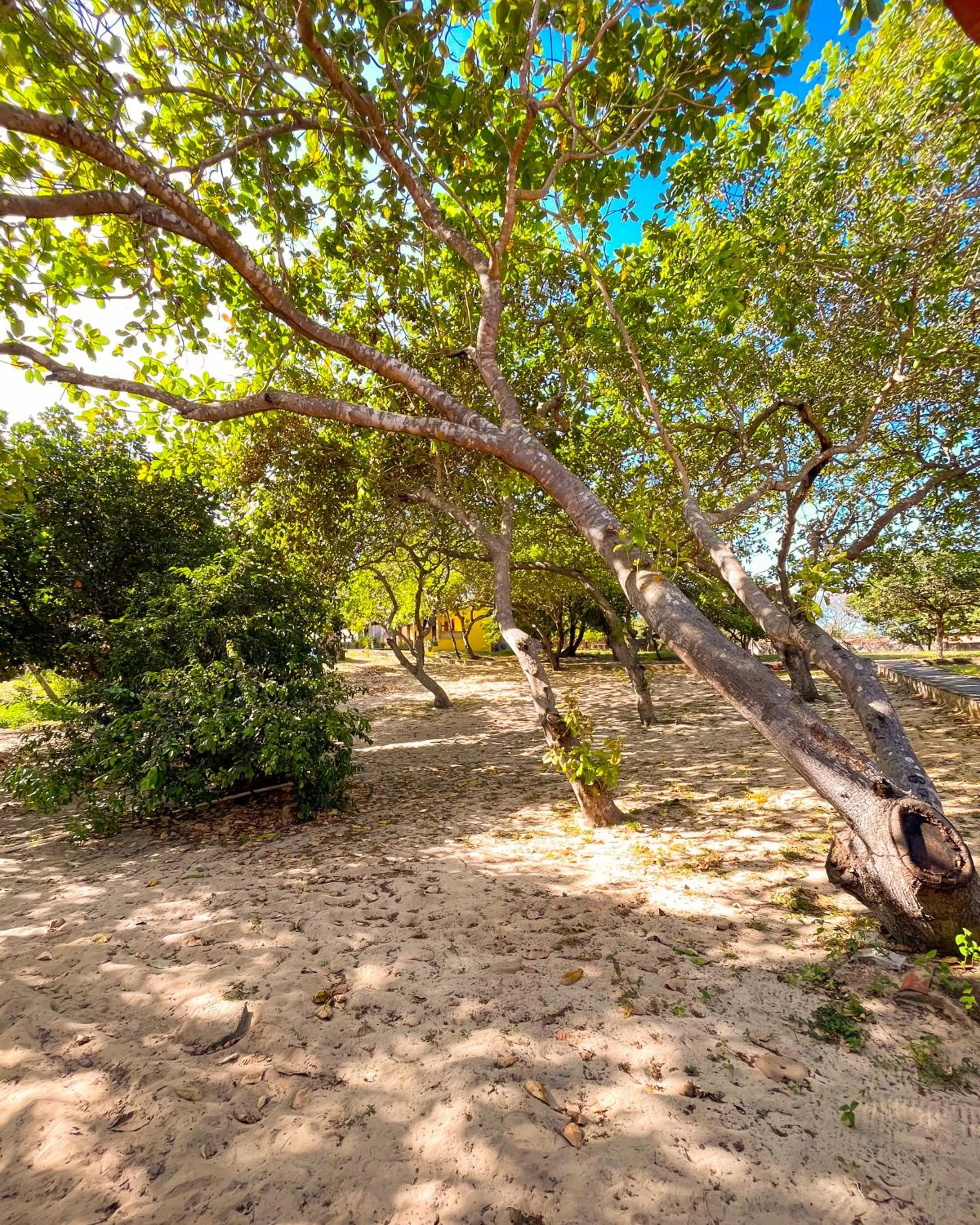 Natural landscape in Pousada do Rancho