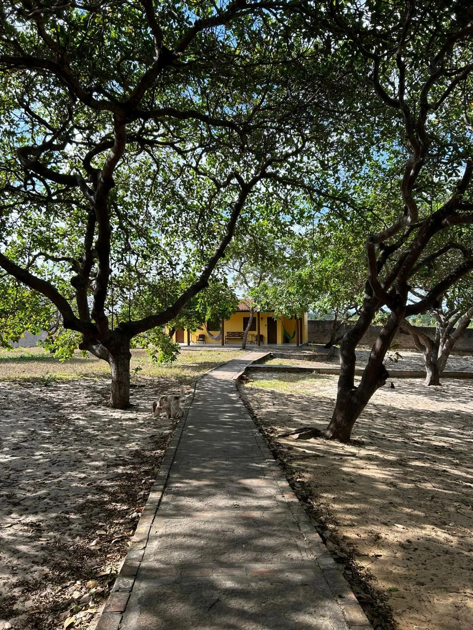 Garden in Pousada do Rancho