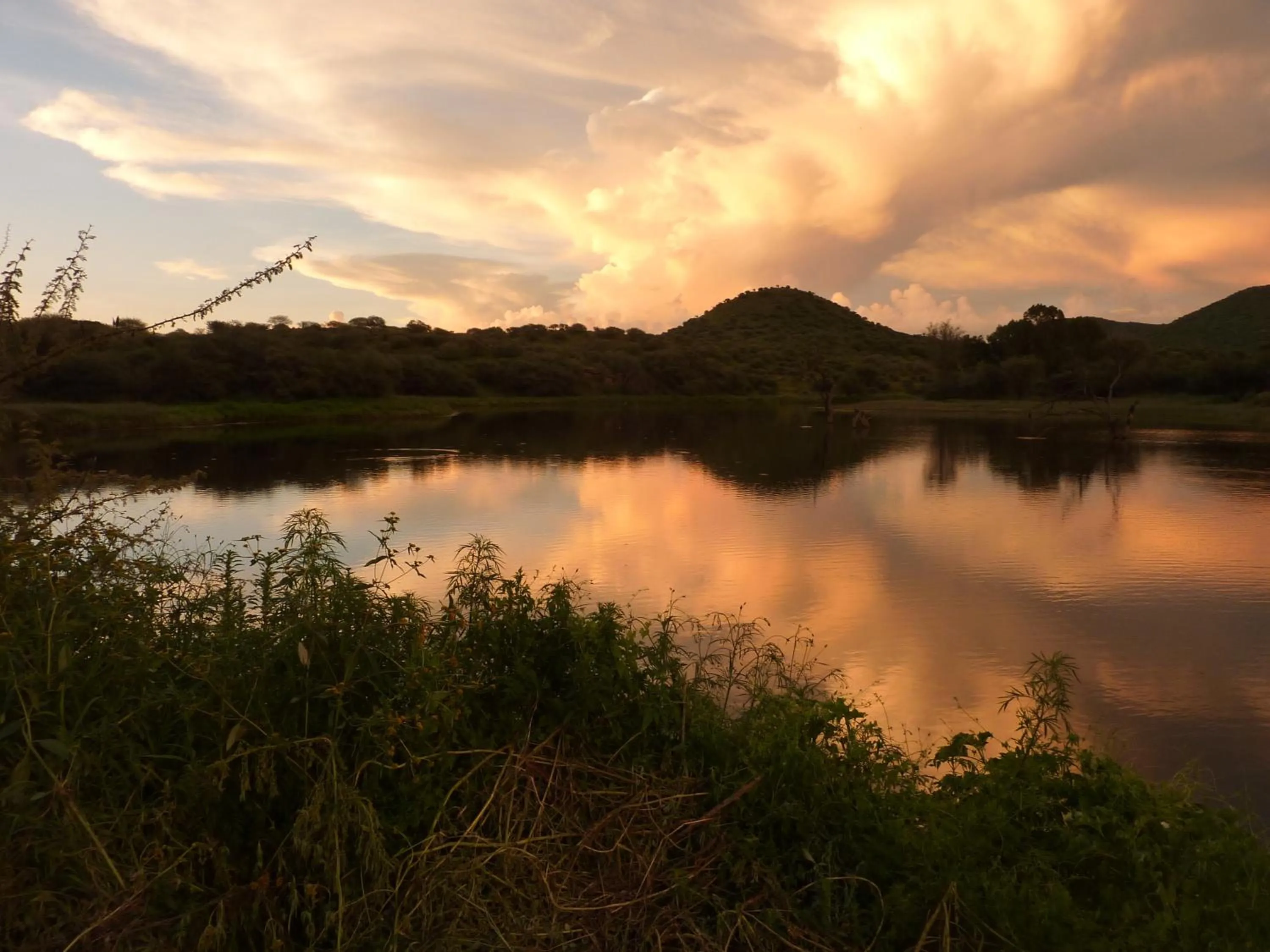 View (from property/room) in Düsternbrook Guest Farm