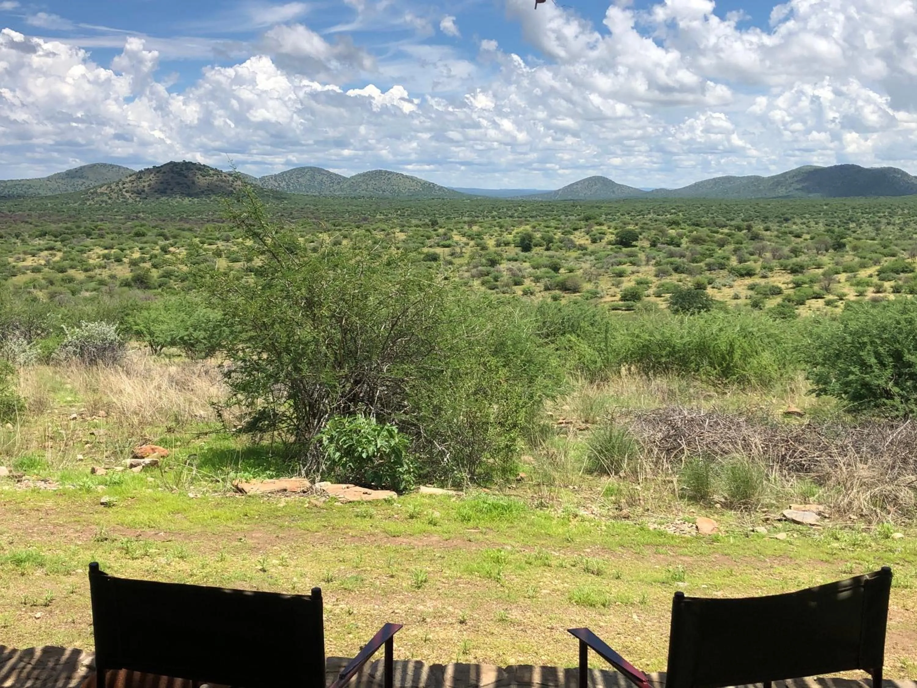 Natural landscape in Düsternbrook Guest Farm