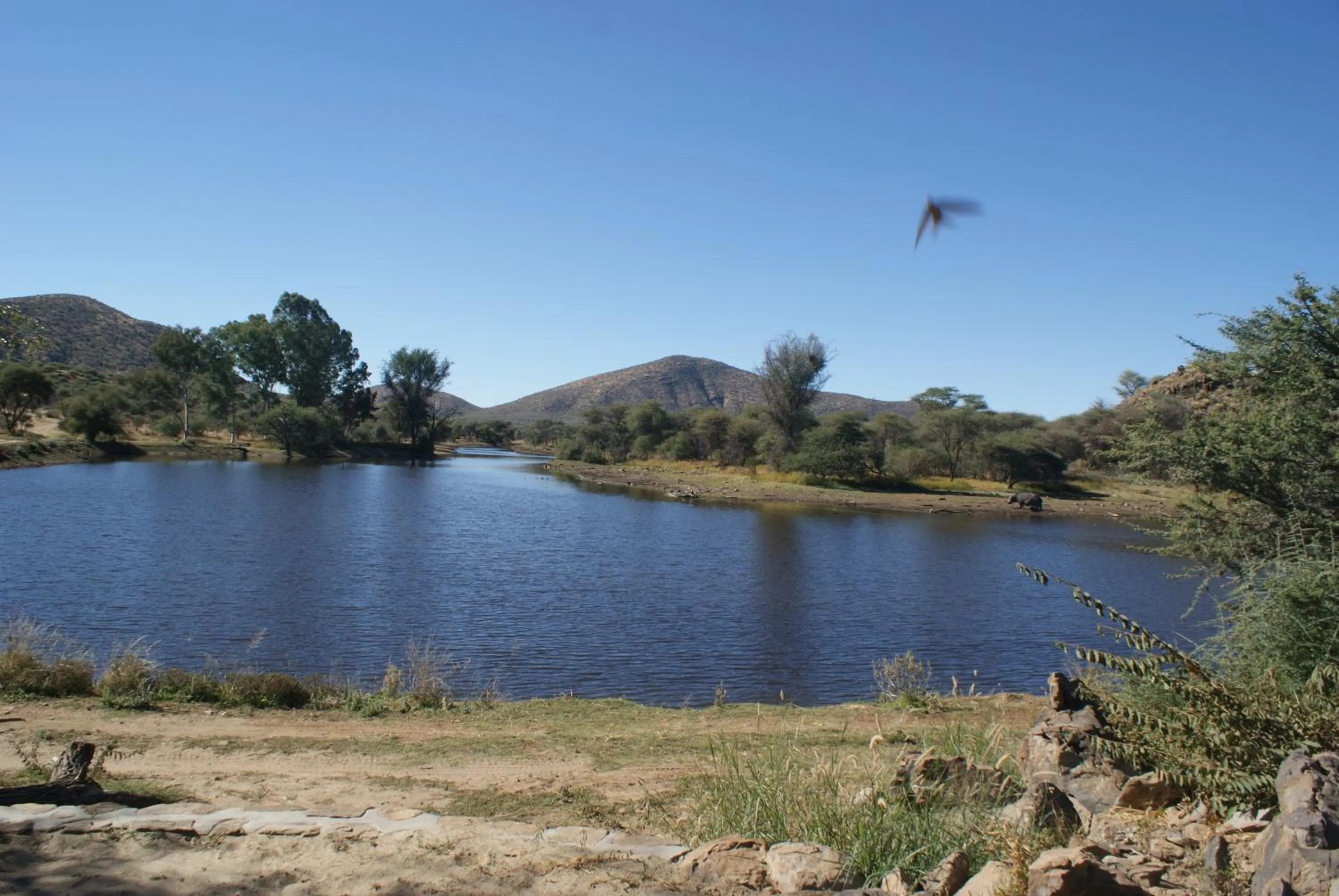 Lake view in Düsternbrook Guest Farm