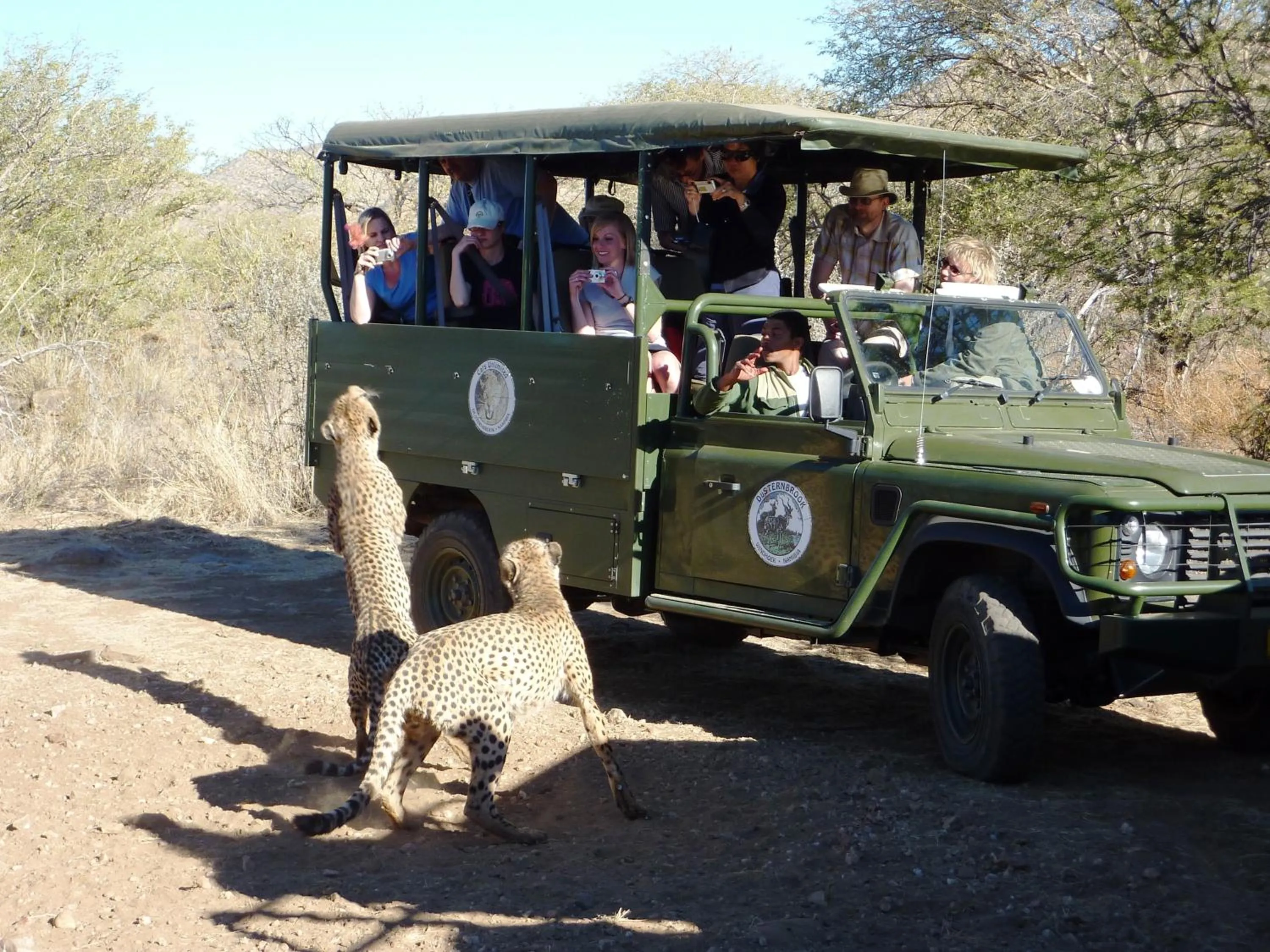Other in Düsternbrook Guest Farm