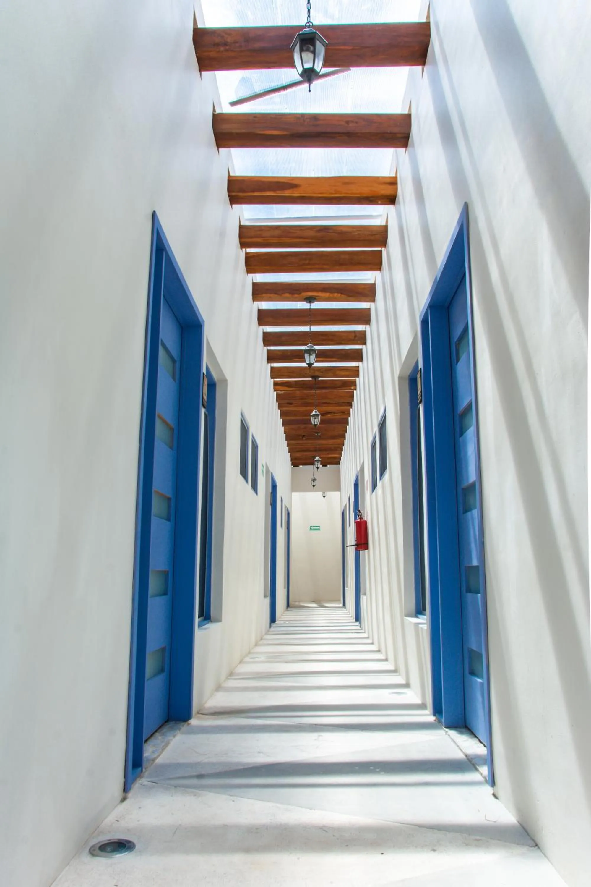 Area and facilities in Hotel Villa Balu