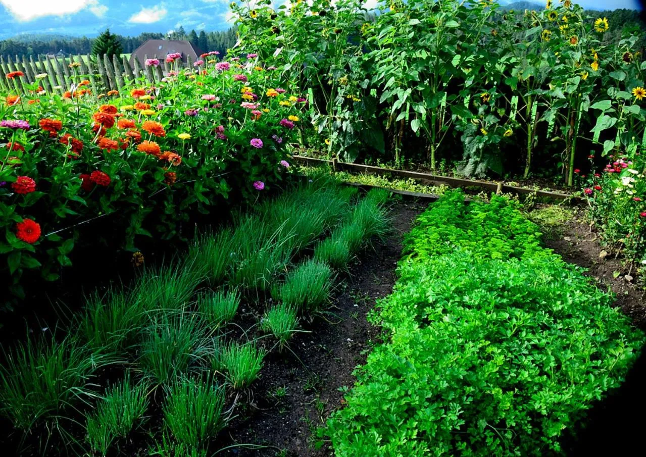 Day in Hotel Ansitz Kematen ***S