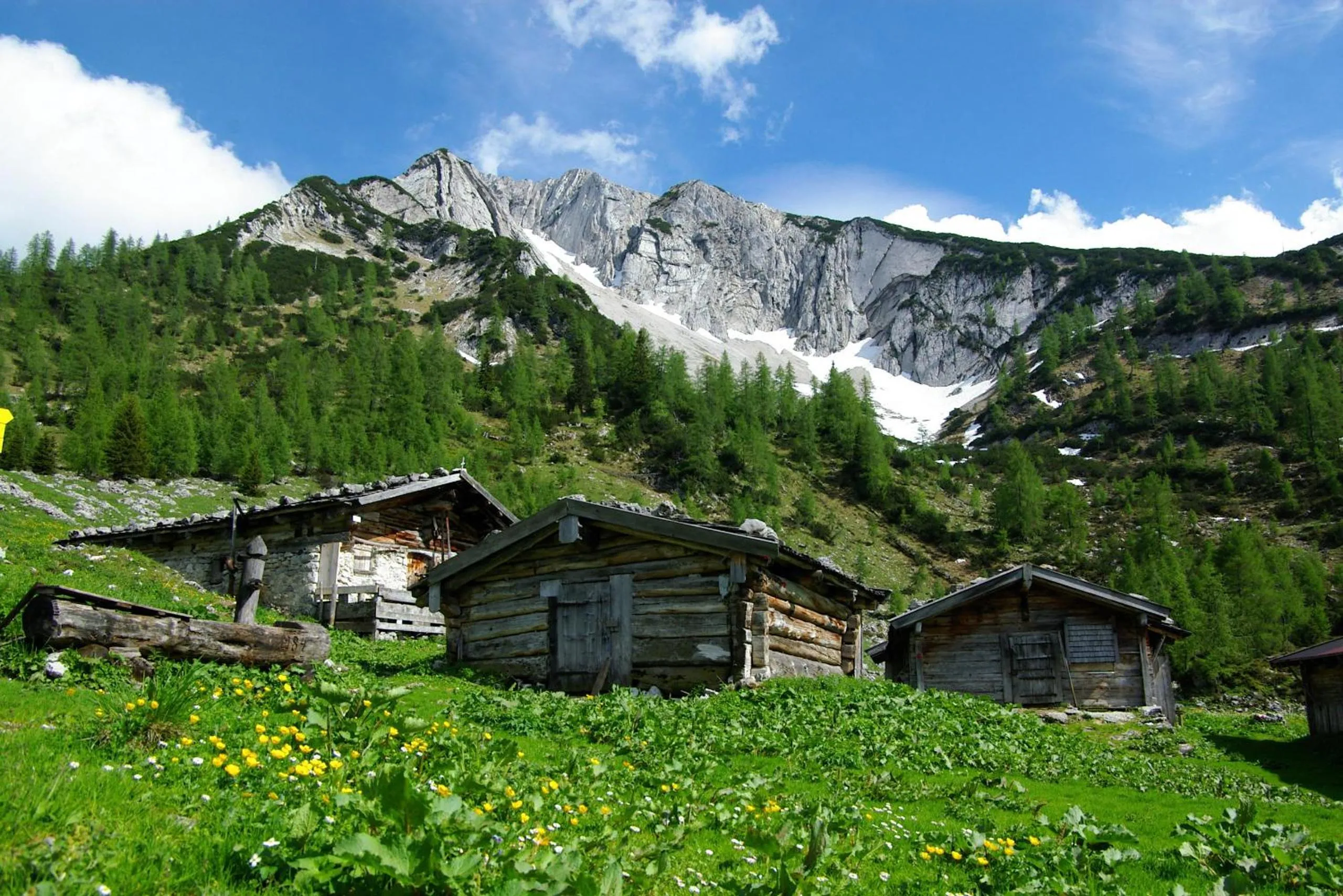 Natural landscape in Haus Bauer