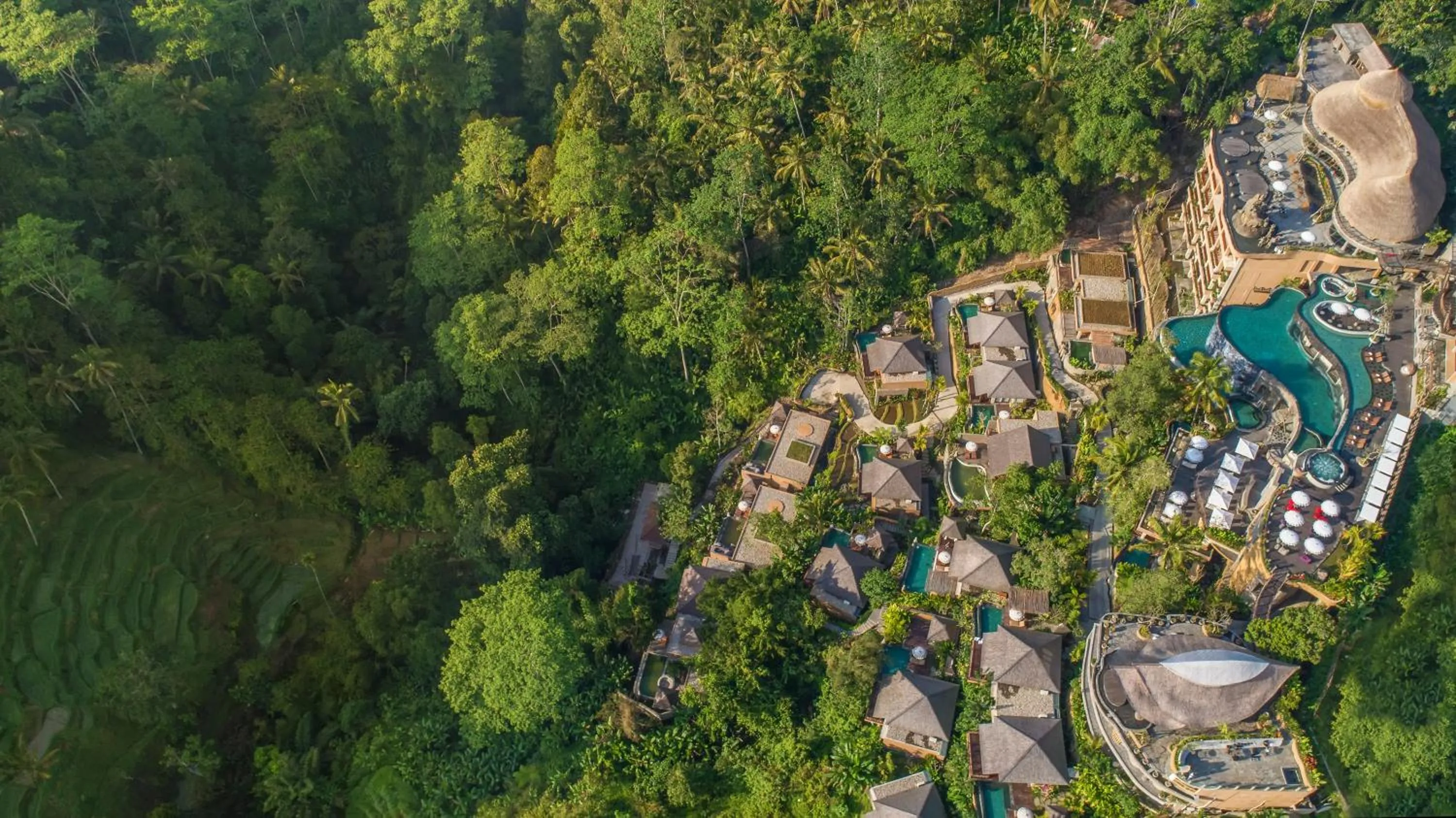 Bird's eye view in The Kayon Jungle Resort
