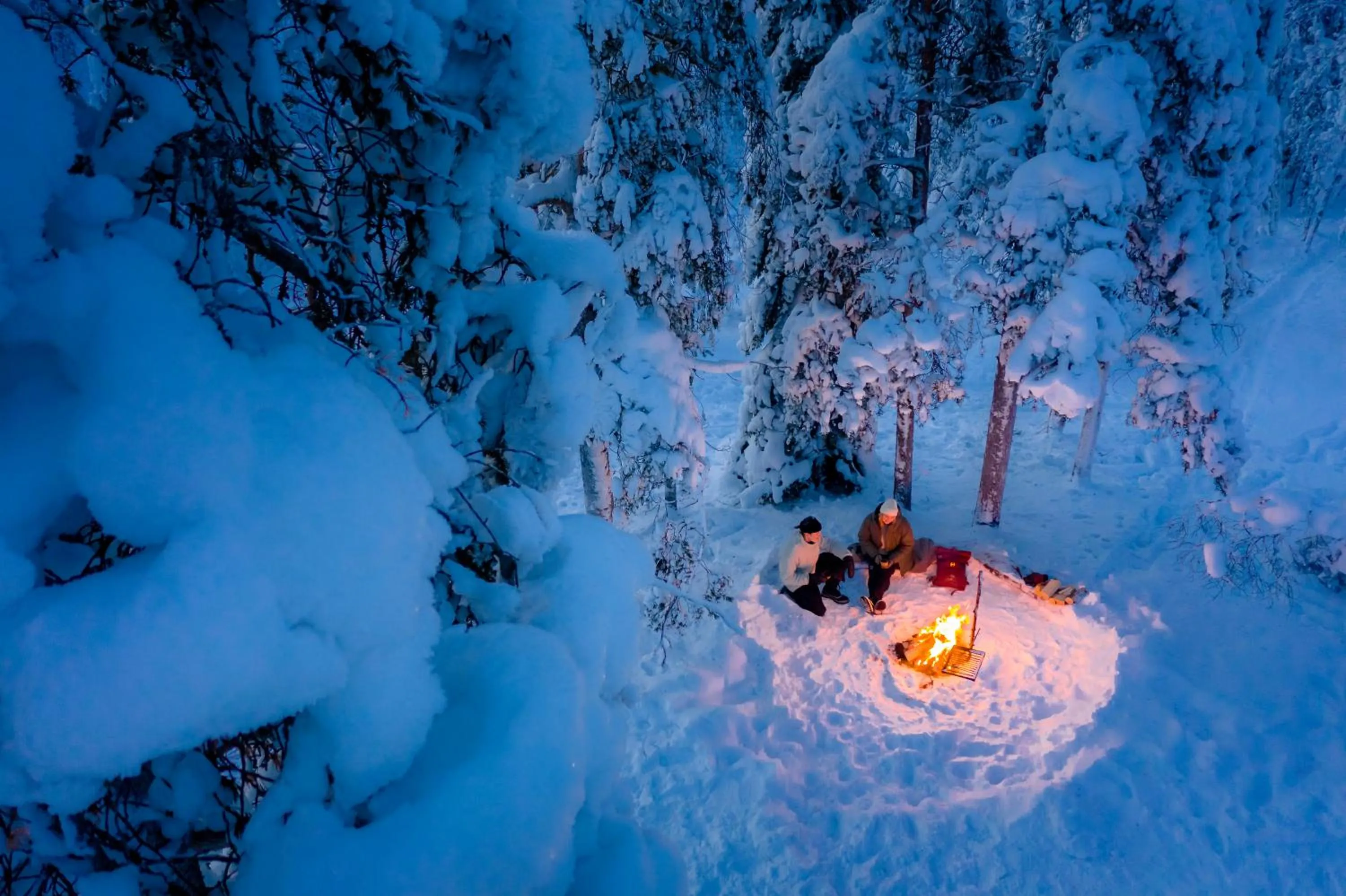 Activities in Lapland Hotels Bear´s Lodge
