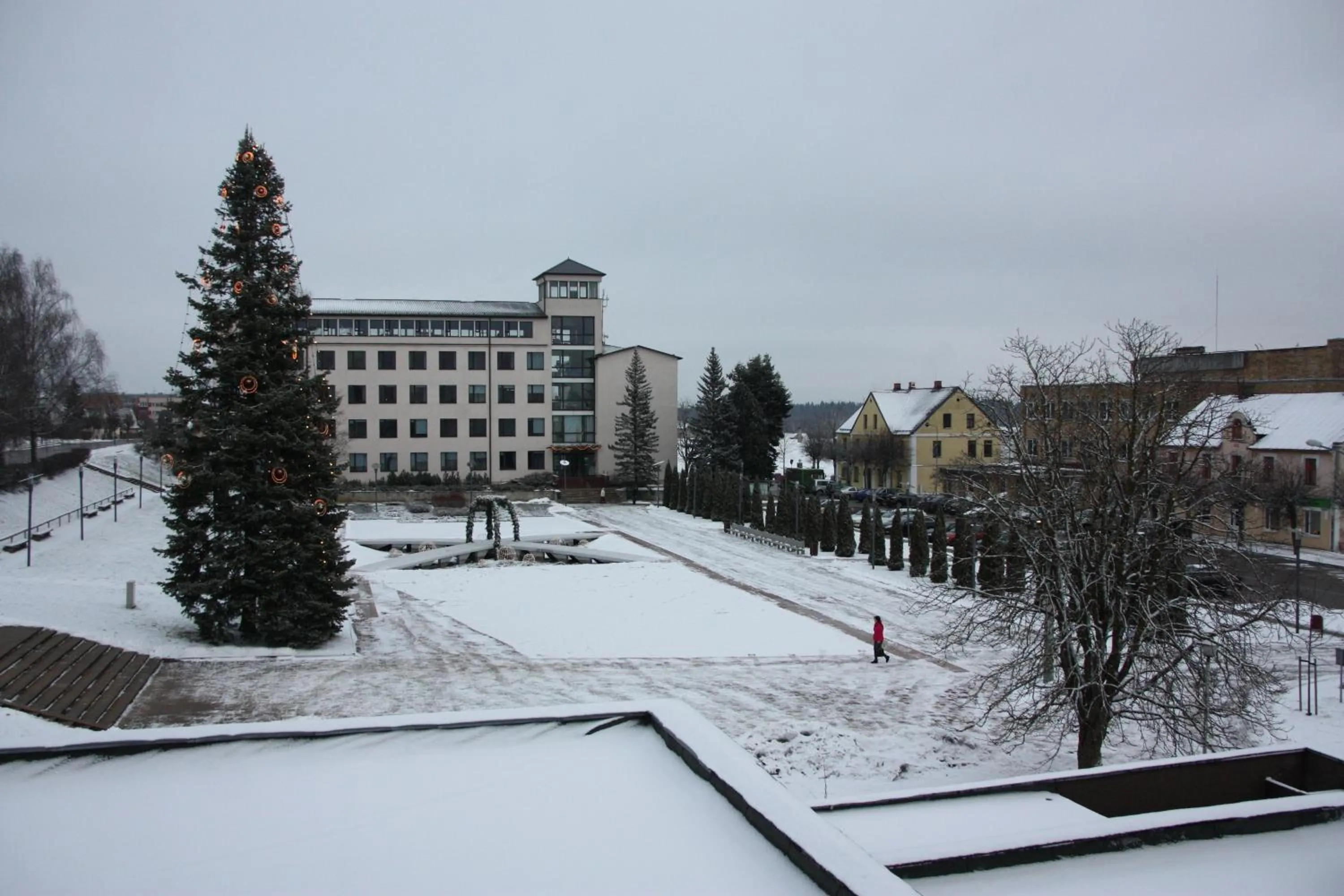 Area and facilities in Hotel Madona