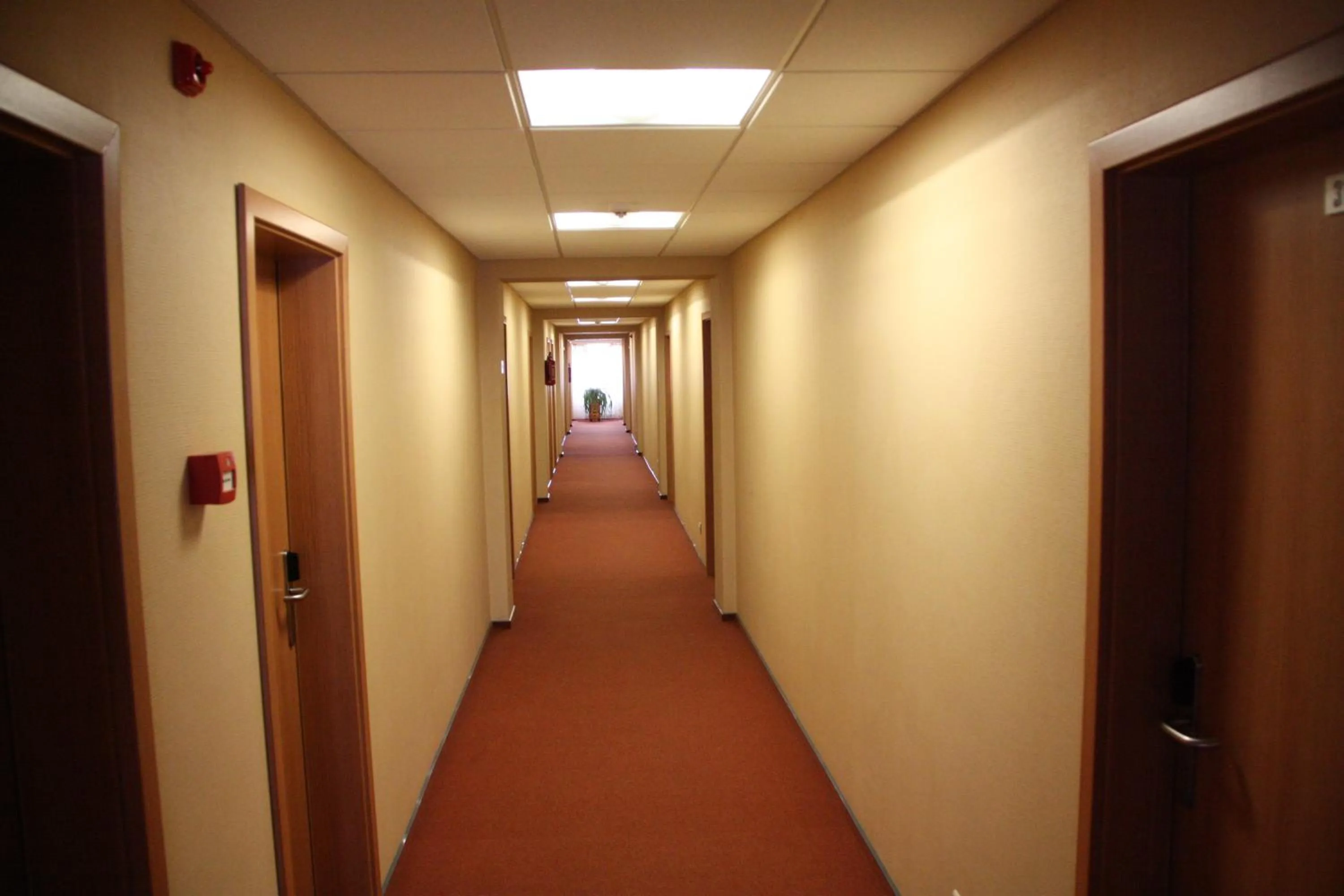 Decorative detail in Hotel Madona