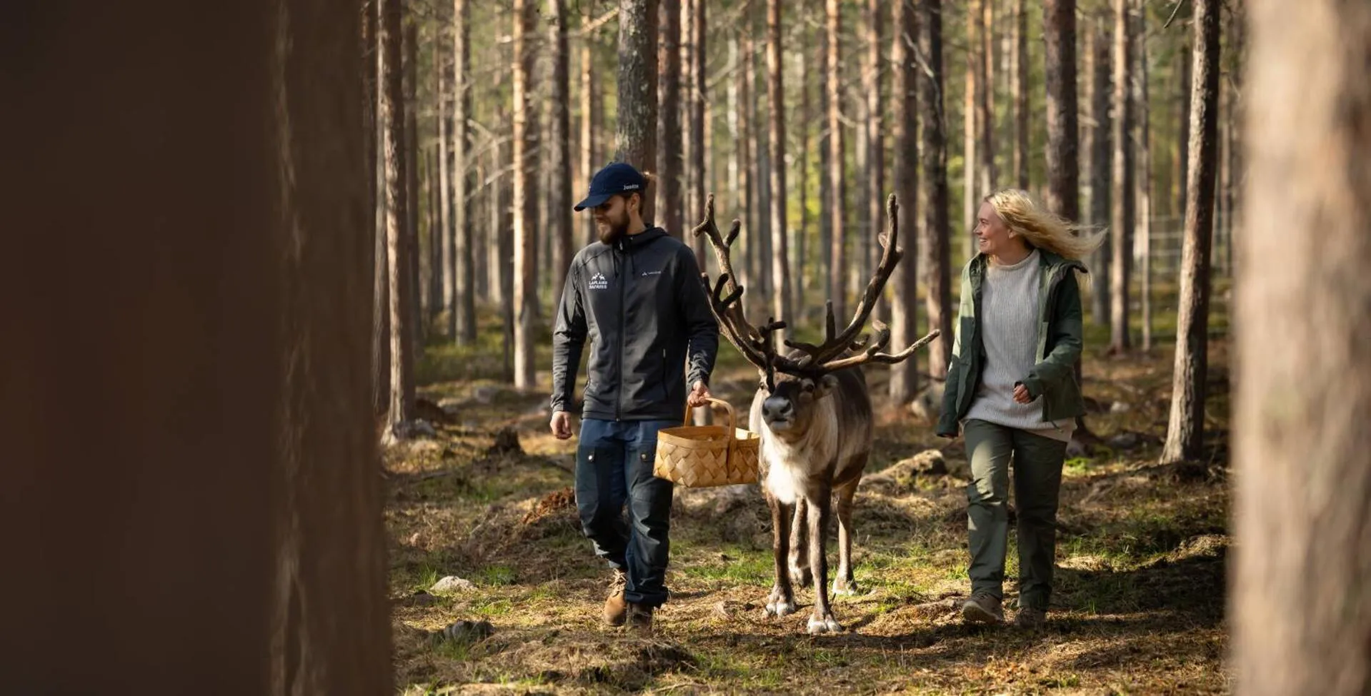 Activities in Lapland Hotels Hetta