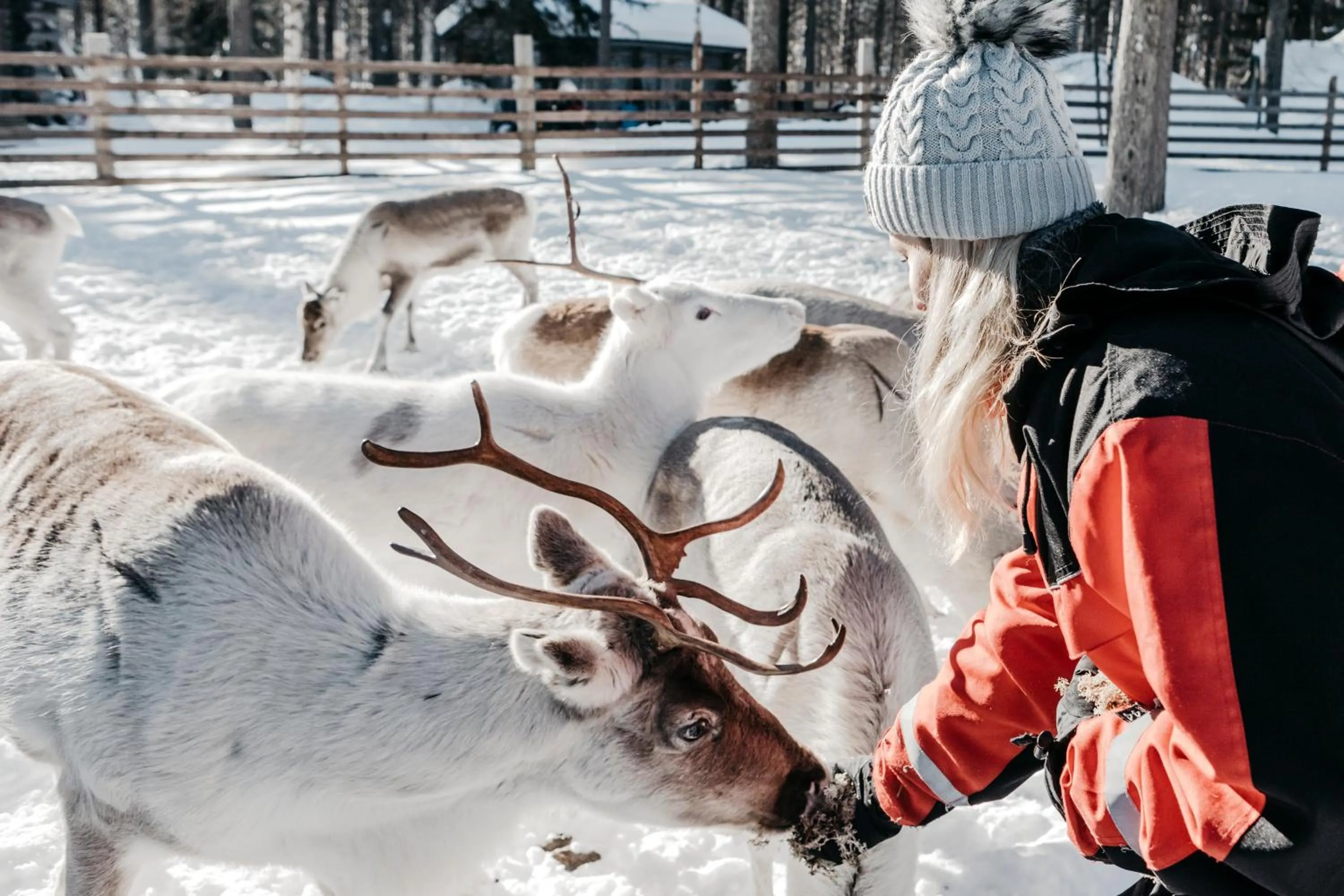 Activities in Lapland Hotels Hetta