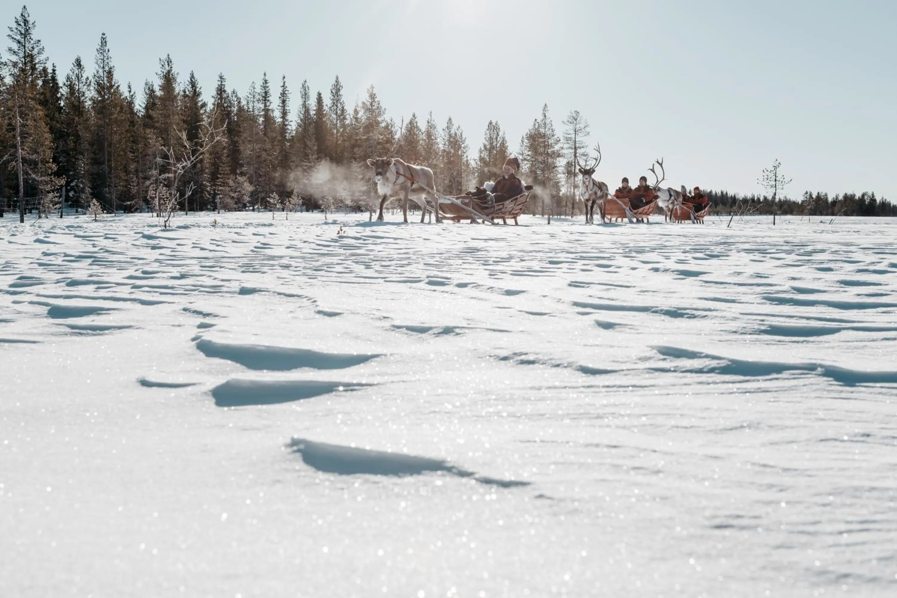 Activities in Lapland Hotels Hetta